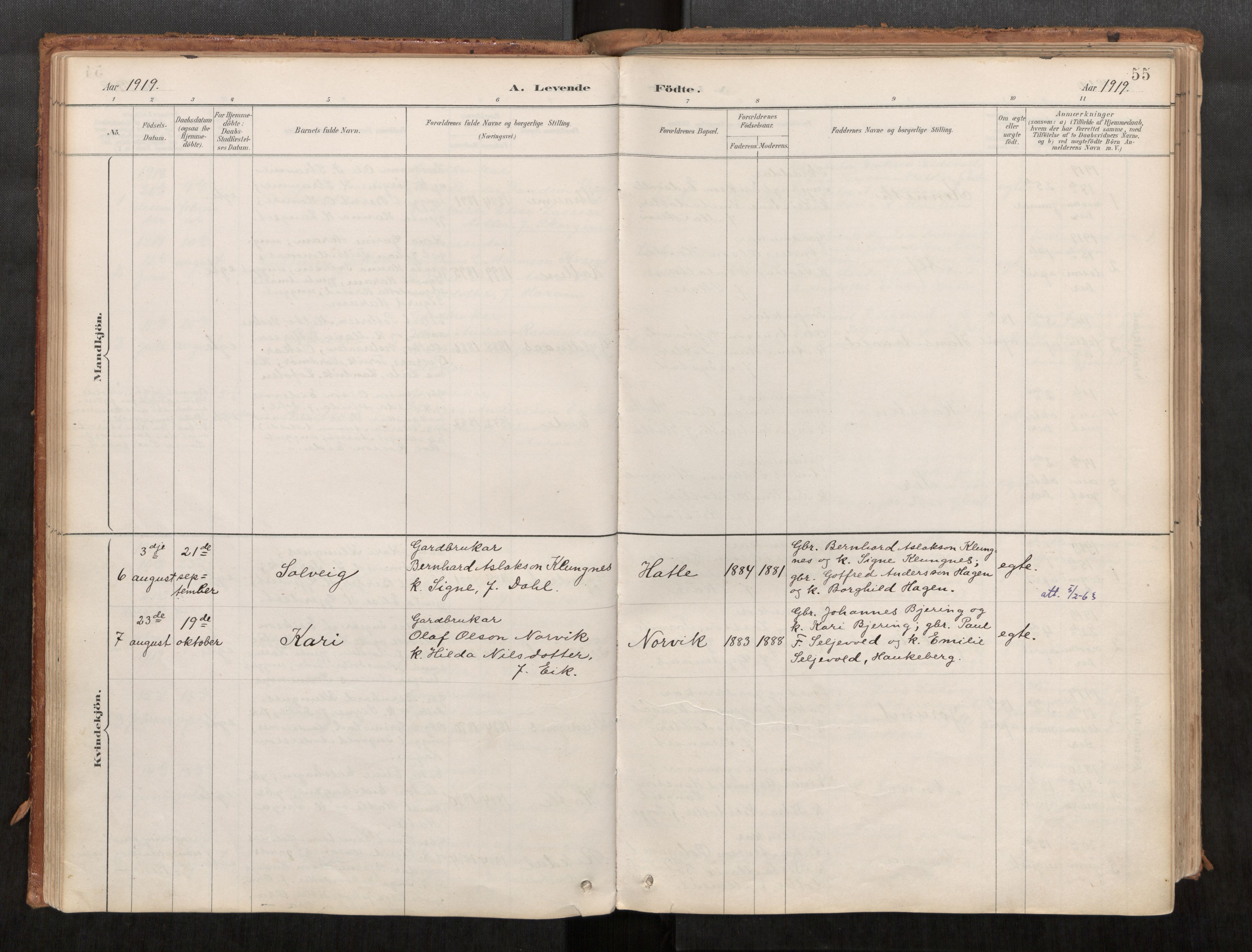 Ministerialprotokoller, klokkerbøker og fødselsregistre - Møre og Romsdal, AV/SAT-A-1454/542/L0553: Ministerialbok nr. 542A03, 1885-1925, s. 55