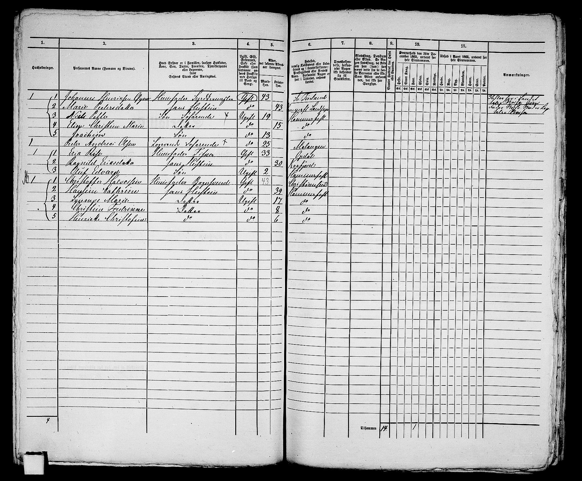 RA, Folketelling 1865 for 2001B Hammerfest prestegjeld, Hammerfest kjøpstad, 1865, s. 204