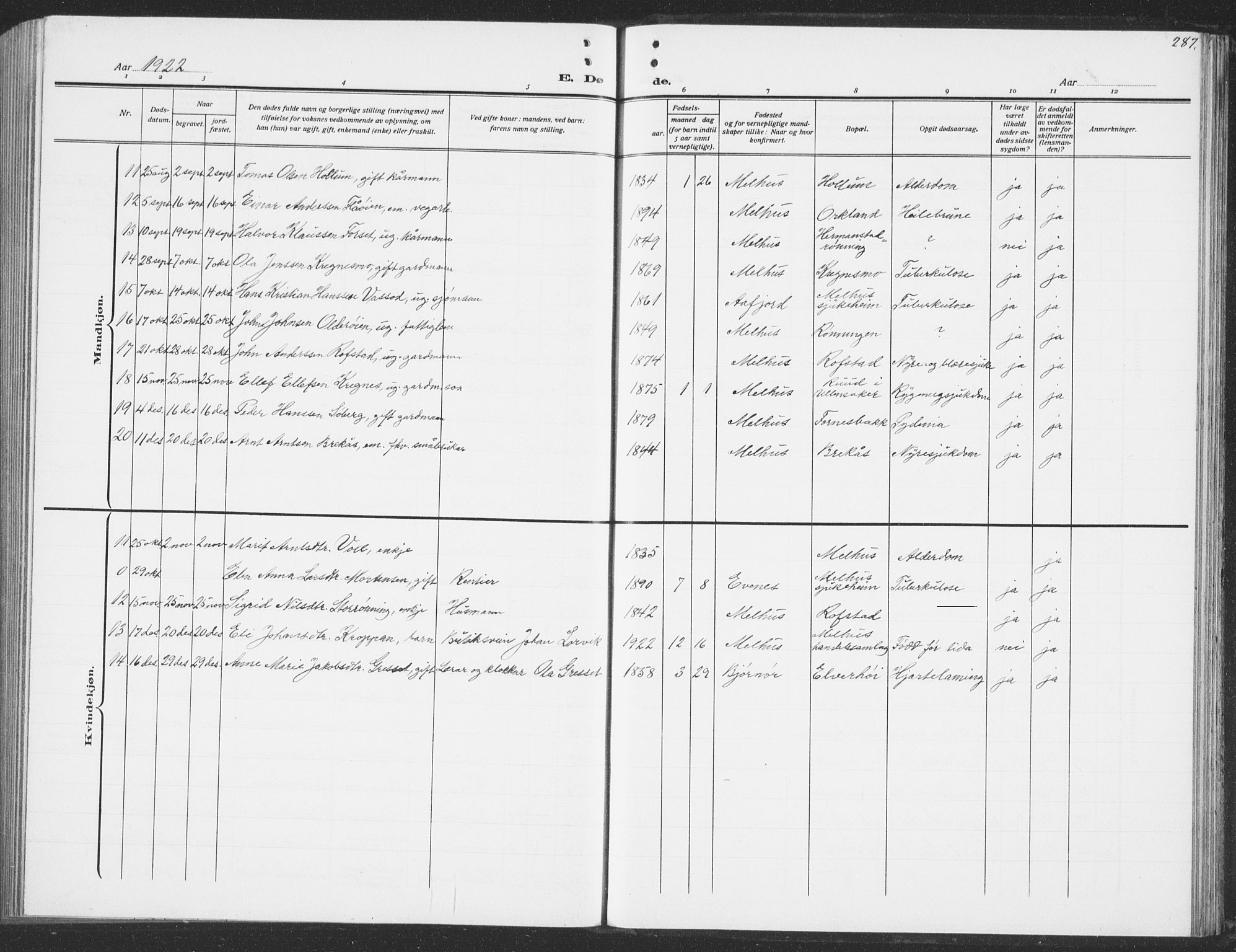 Ministerialprotokoller, klokkerbøker og fødselsregistre - Sør-Trøndelag, SAT/A-1456/691/L1095: Klokkerbok nr. 691C06, 1912-1933, s. 287
