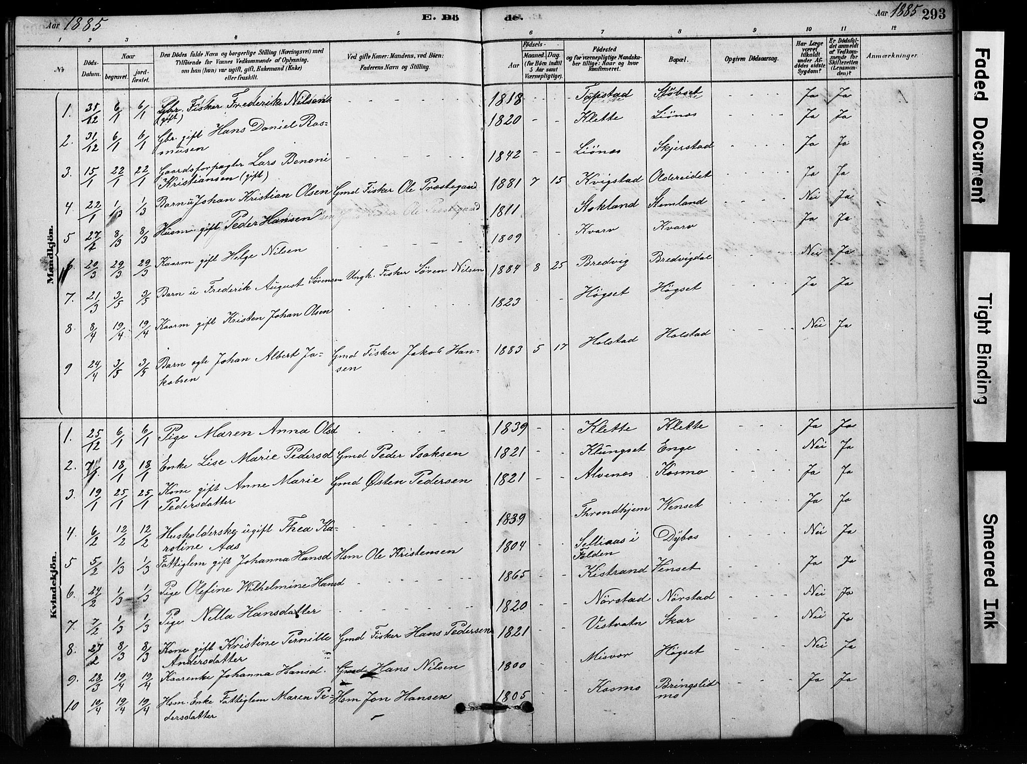 Ministerialprotokoller, klokkerbøker og fødselsregistre - Nordland, AV/SAT-A-1459/852/L0754: Klokkerbok nr. 852C05, 1878-1894, s. 293