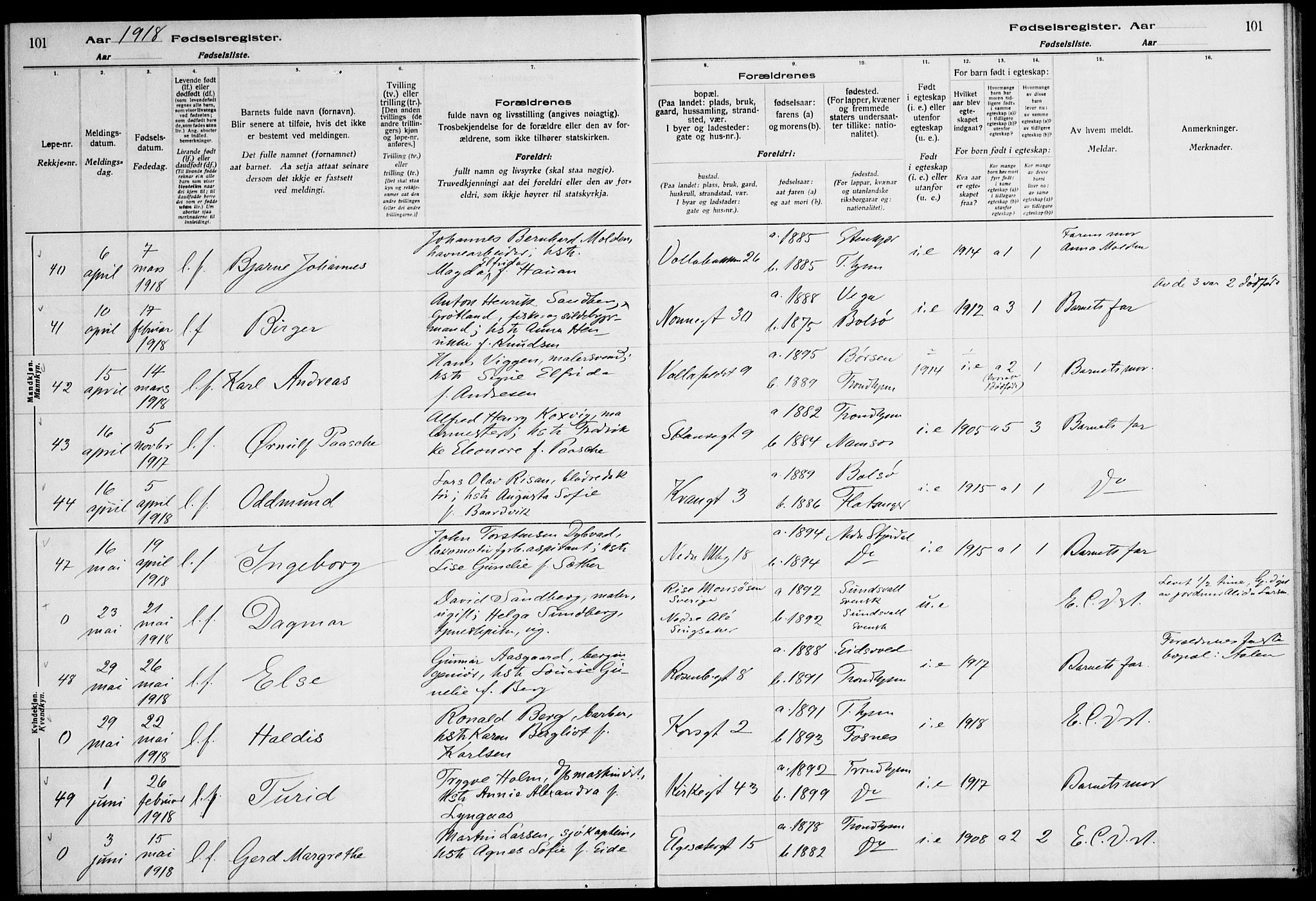 Ministerialprotokoller, klokkerbøker og fødselsregistre - Sør-Trøndelag, SAT/A-1456/604/L0232: Fødselsregister nr. 604.II.4.1, 1916-1920, s. 101