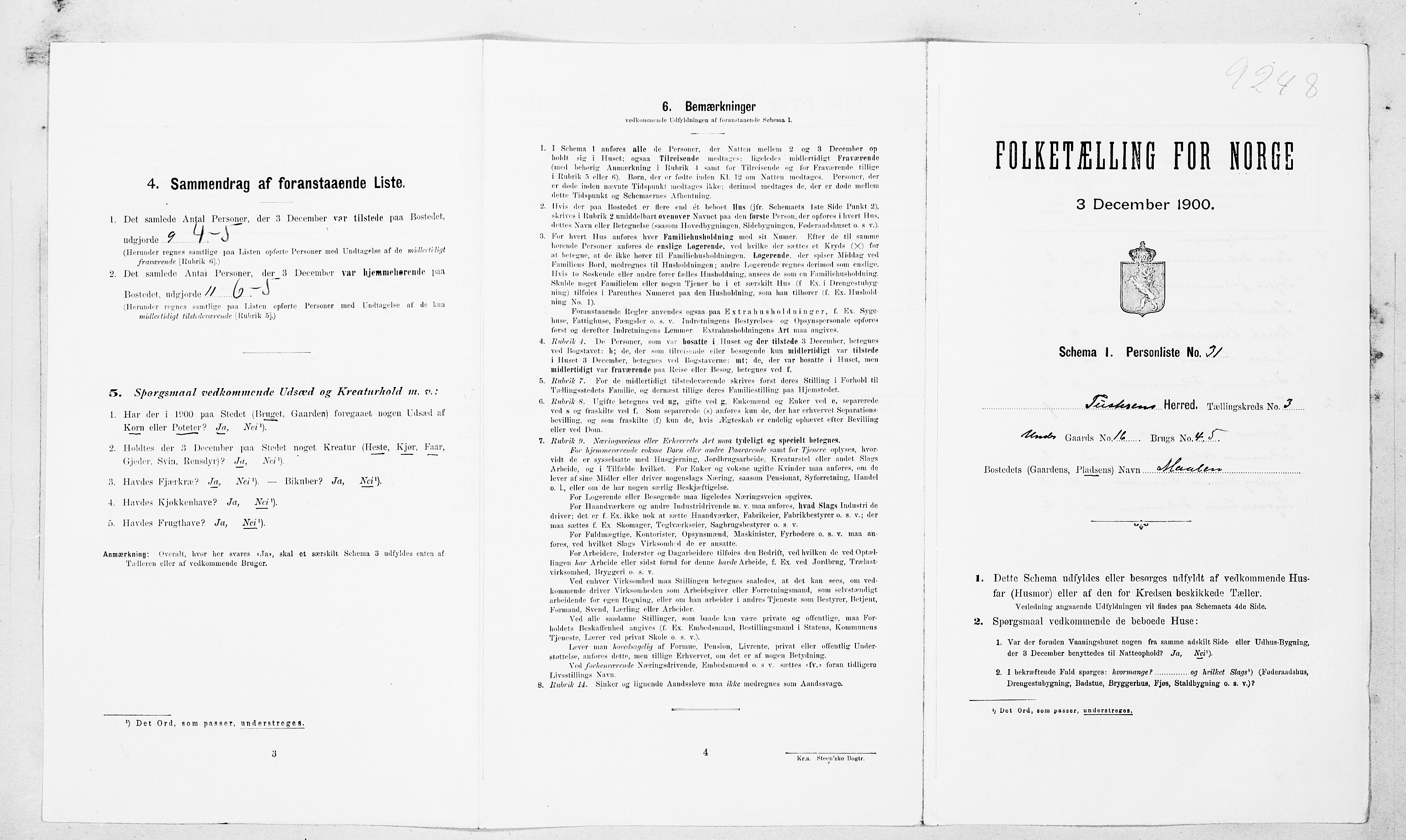 SAT, Folketelling 1900 for 1572 Tustna herred, 1900, s. 254
