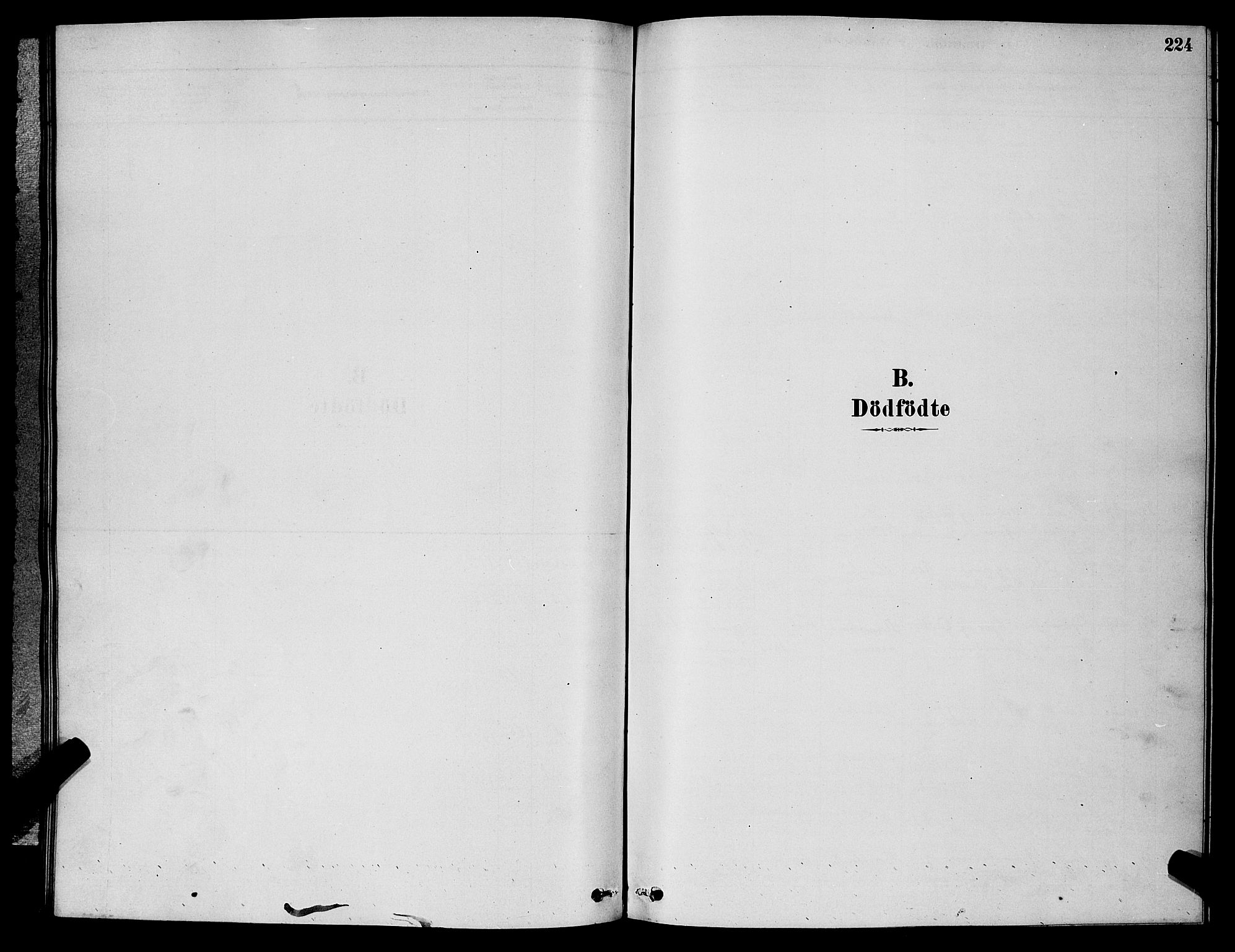Barbu sokneprestkontor, SAK/1111-0003/F/Fb/L0001: Klokkerbok nr. B 1, 1878-1890, s. 224