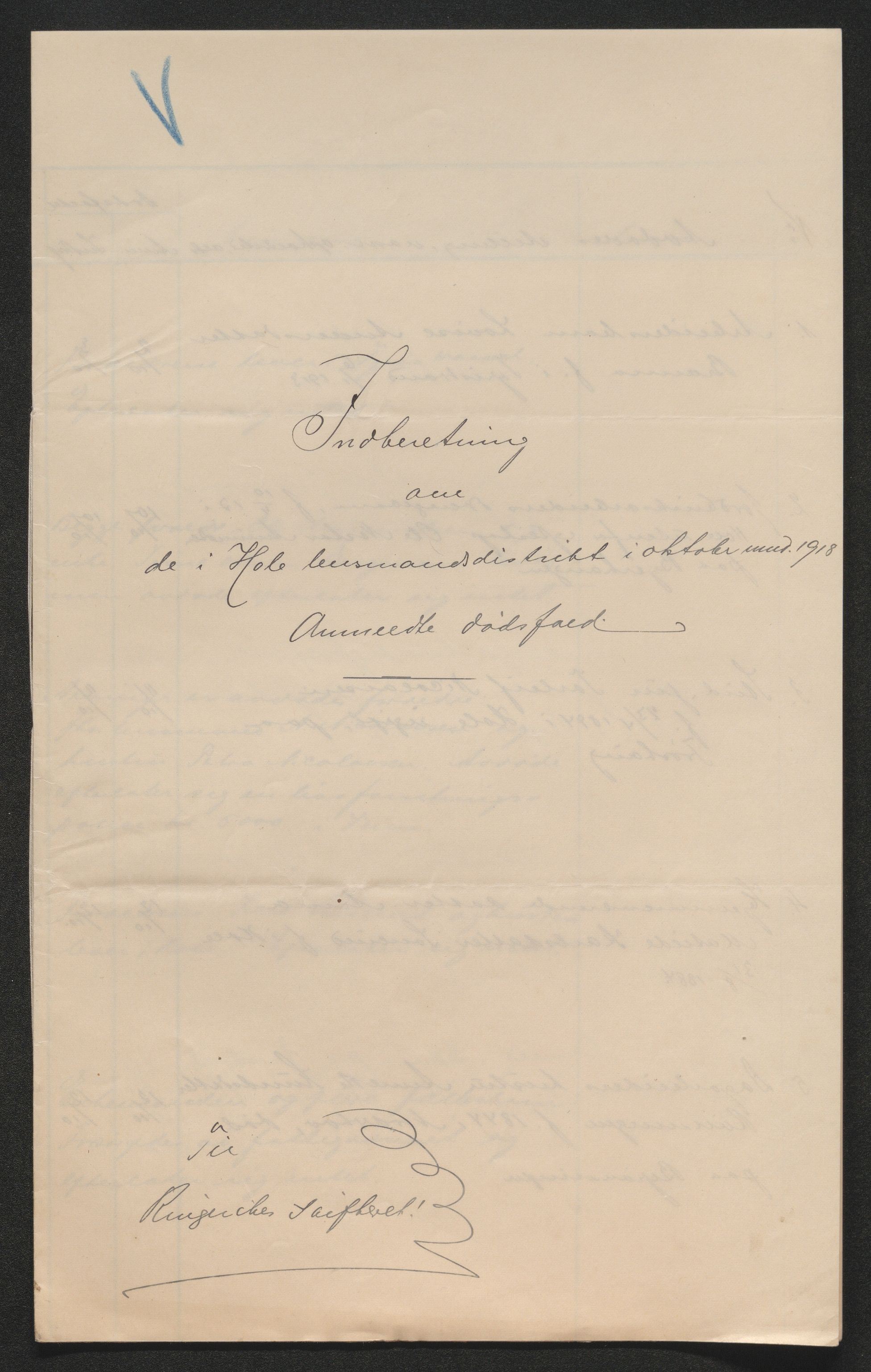 Ringerike sorenskriveri, AV/SAKO-A-105/H/Ha/Hab/L0020: Dødsfallslister Hole, 1918-1925