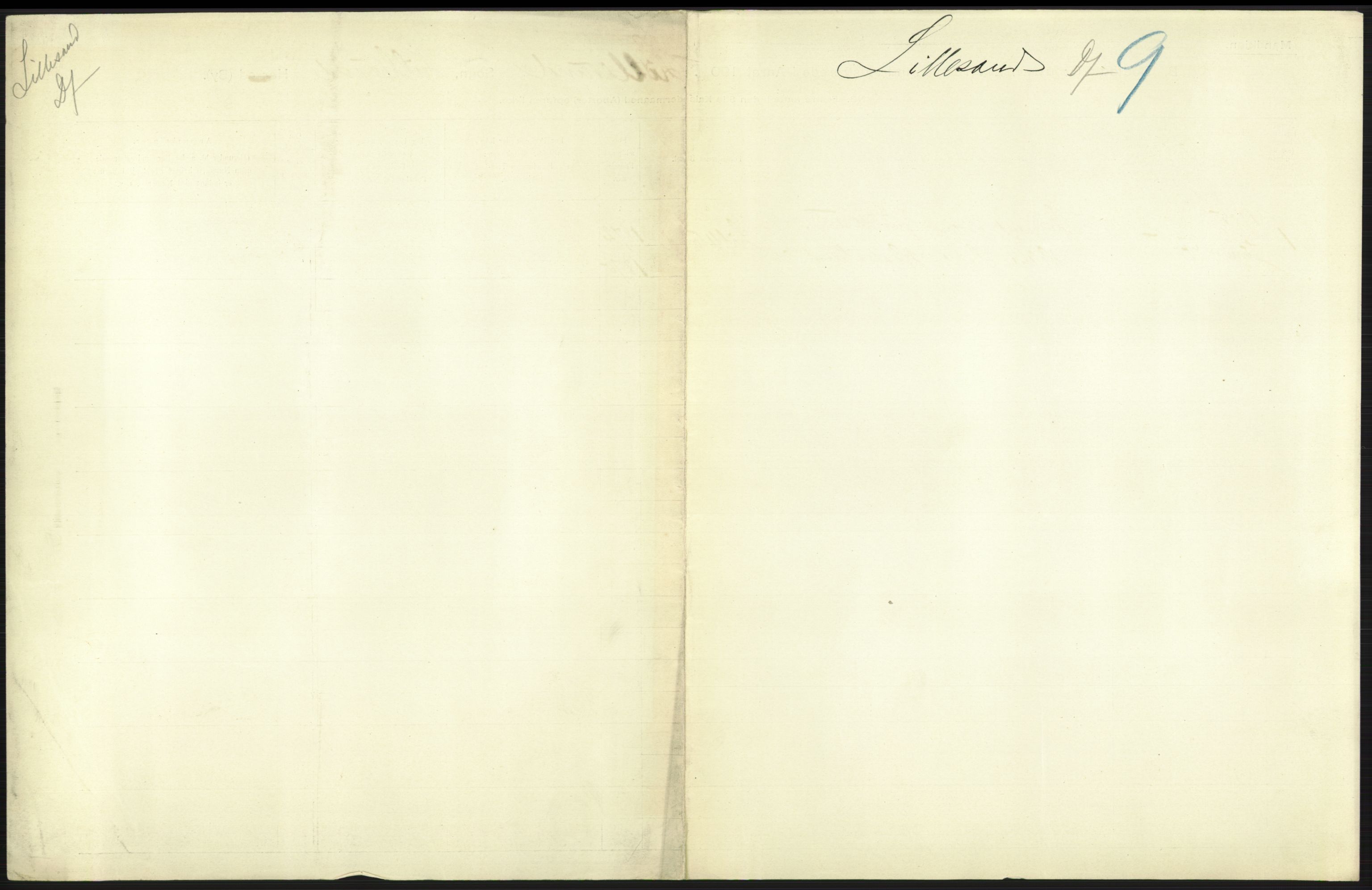 Statistisk sentralbyrå, Sosiodemografiske emner, Befolkning, AV/RA-S-2228/D/Df/Dfa/Dfac/L0043: Bratsberg - Lister og Mandals amt: Levendefødte menn og kvinner, gifte, døde, dødfødte. Byer., 1905, s. 297