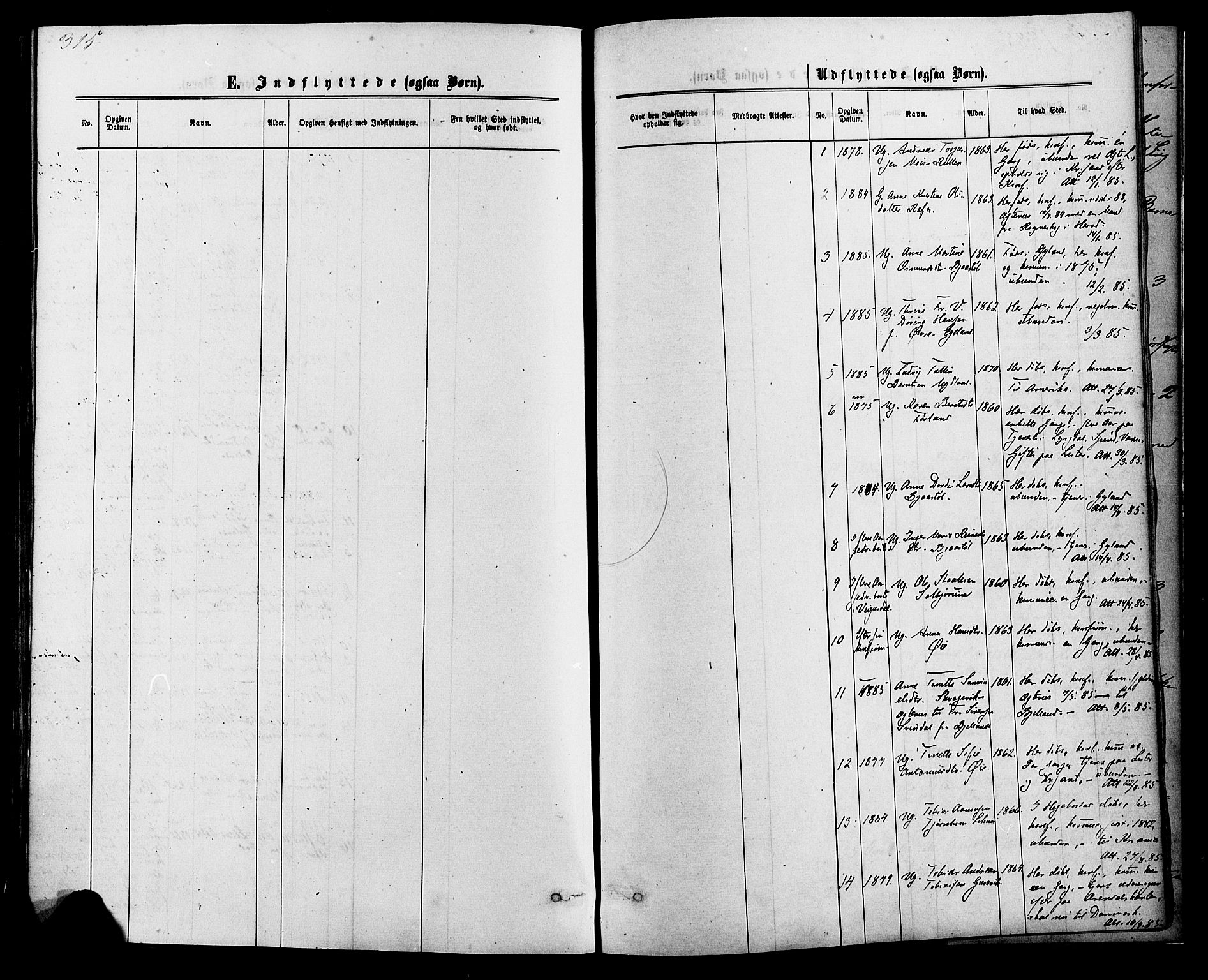 Kvinesdal sokneprestkontor, SAK/1111-0026/F/Fa/Fab/L0007: Ministerialbok nr. A 7, 1870-1885, s. 315