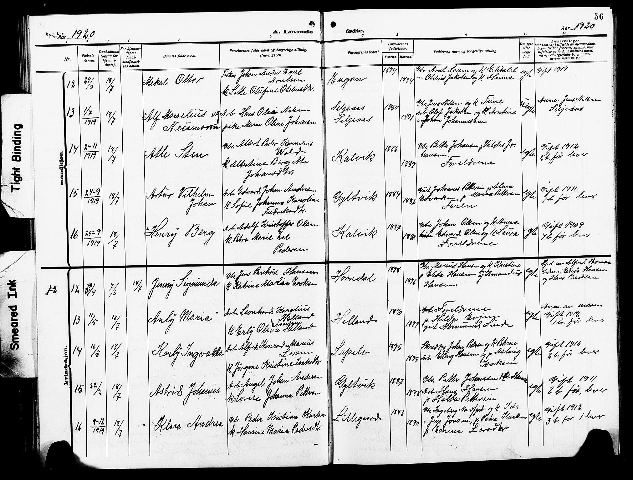 Ministerialprotokoller, klokkerbøker og fødselsregistre - Nordland, AV/SAT-A-1459/854/L0787: Klokkerbok nr. 854C03, 1913-1926, s. 56