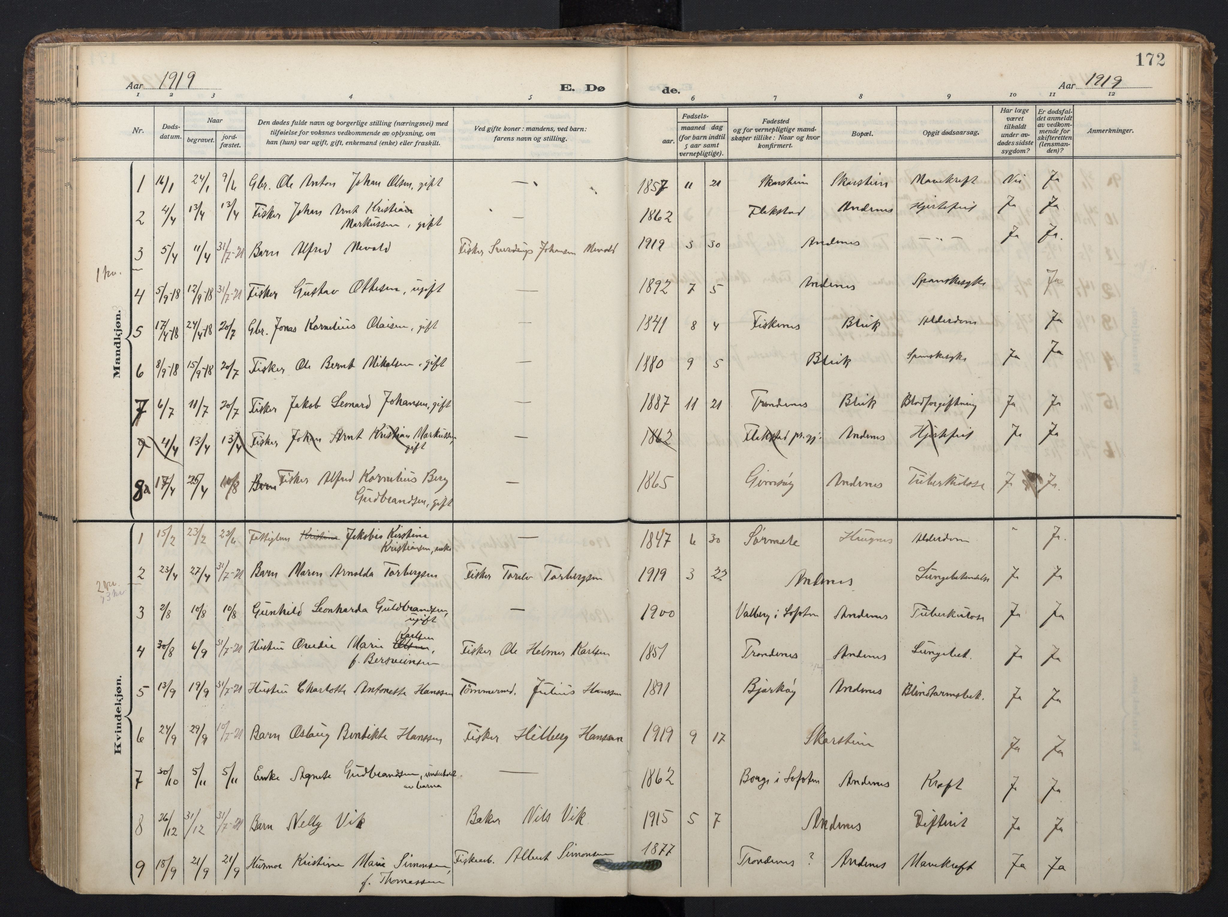 Ministerialprotokoller, klokkerbøker og fødselsregistre - Nordland, AV/SAT-A-1459/899/L1438: Ministerialbok nr. 899A06, 1909-1922, s. 172