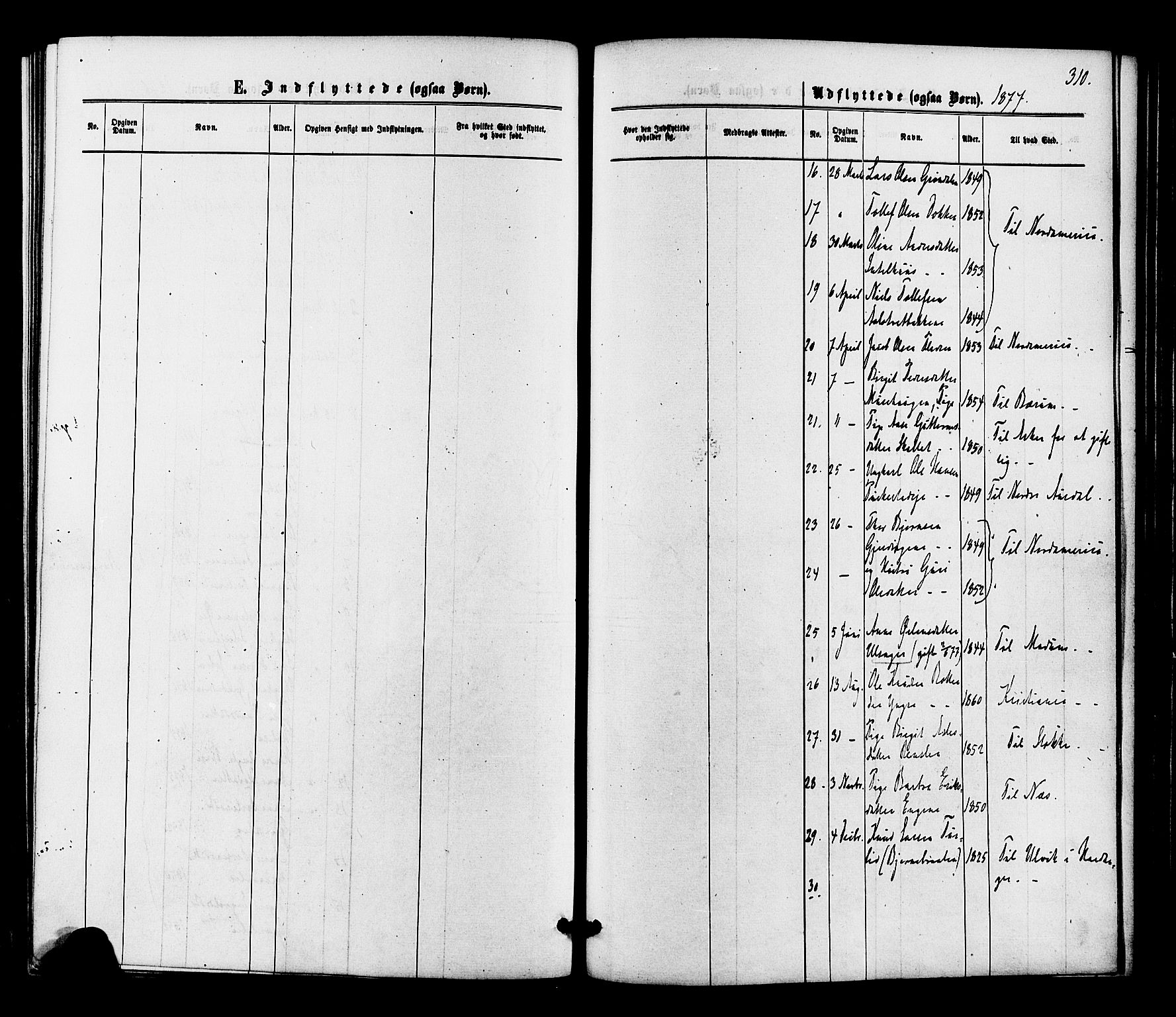 Gol kirkebøker, SAKO/A-226/F/Fa/L0004: Ministerialbok nr. I 4, 1876-1886, s. 310