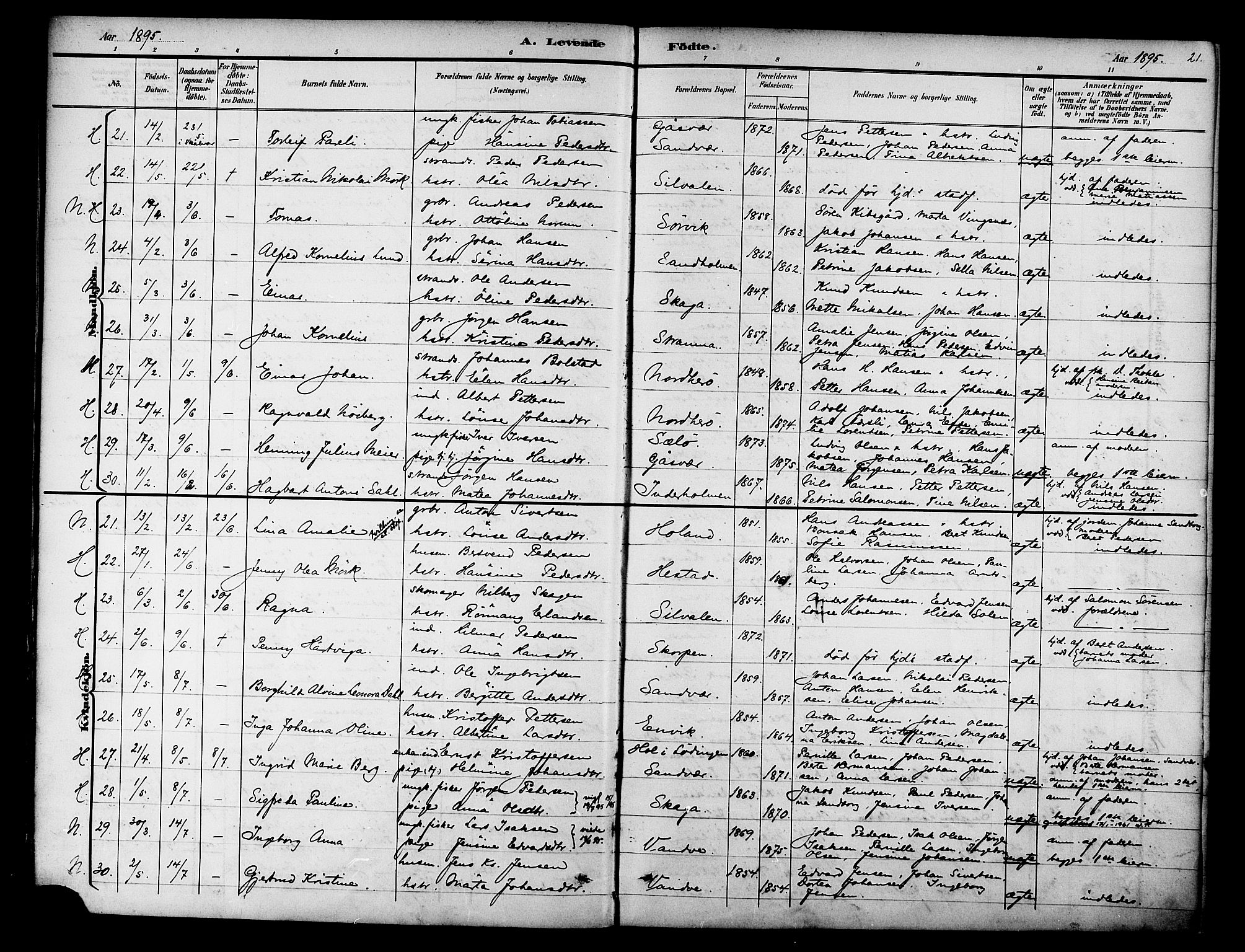Ministerialprotokoller, klokkerbøker og fødselsregistre - Nordland, AV/SAT-A-1459/834/L0508: Ministerialbok nr. 834A06, 1892-1901, s. 21