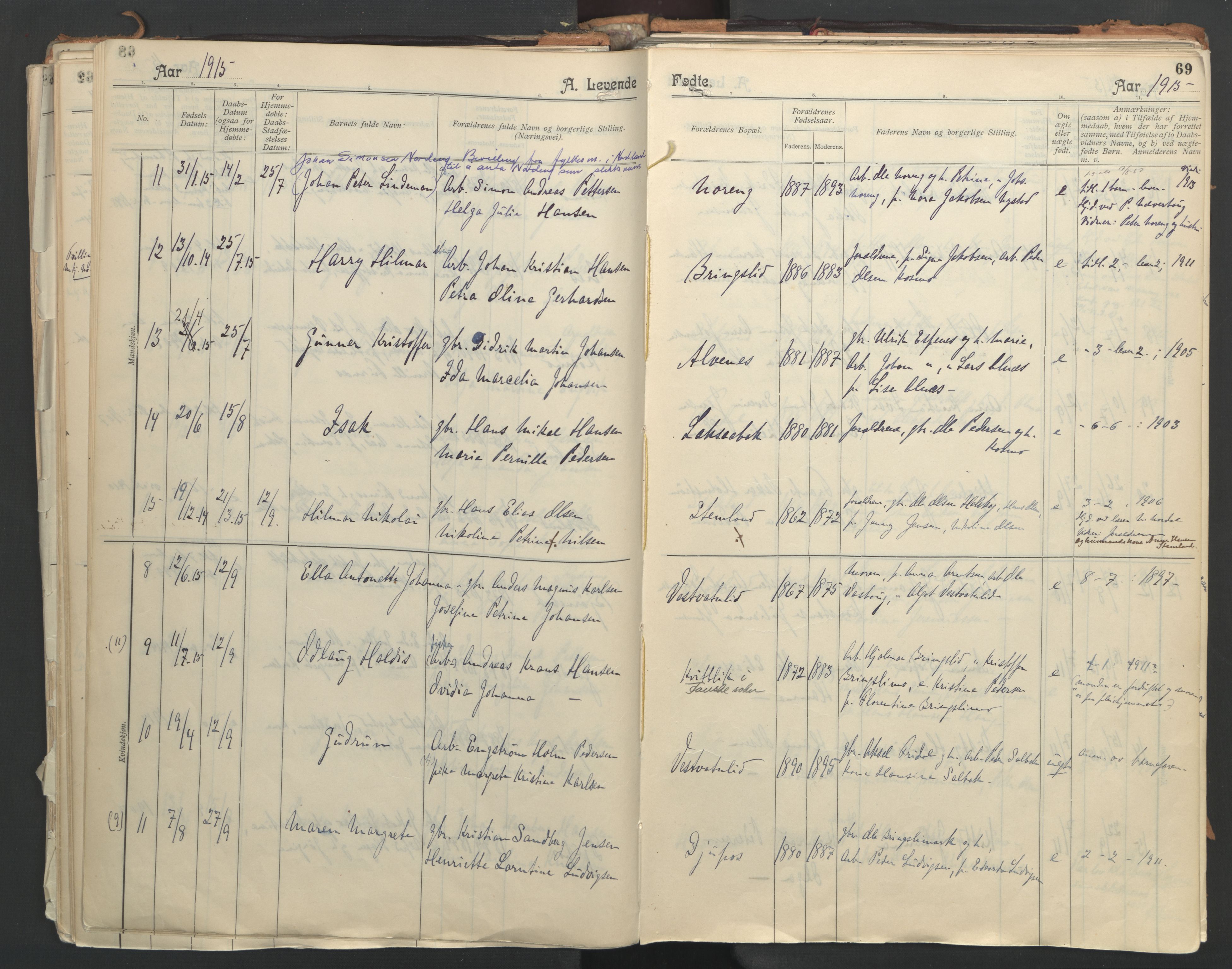 Ministerialprotokoller, klokkerbøker og fødselsregistre - Nordland, AV/SAT-A-1459/851/L0724: Ministerialbok nr. 851A01, 1901-1922, s. 69