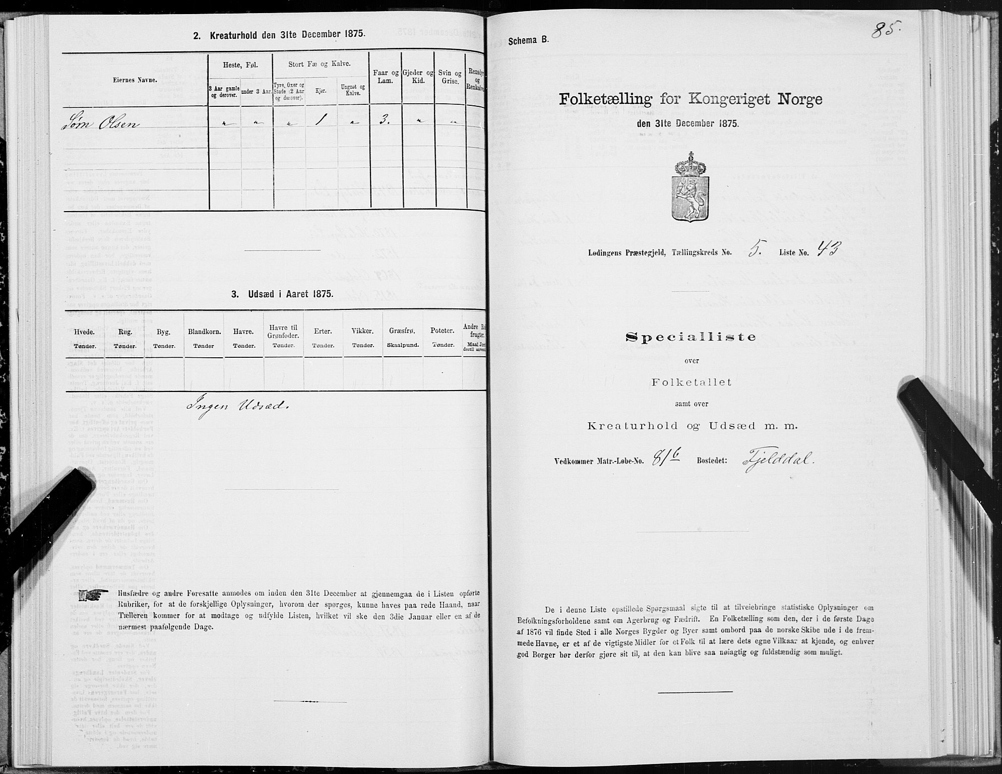 SAT, Folketelling 1875 for 1851P Lødingen prestegjeld, 1875, s. 3085