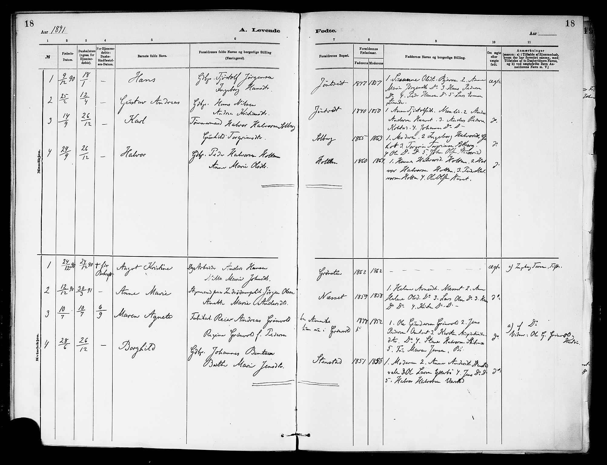 Holla kirkebøker, AV/SAKO-A-272/F/Fa/L0009: Ministerialbok nr. 9, 1881-1897, s. 18