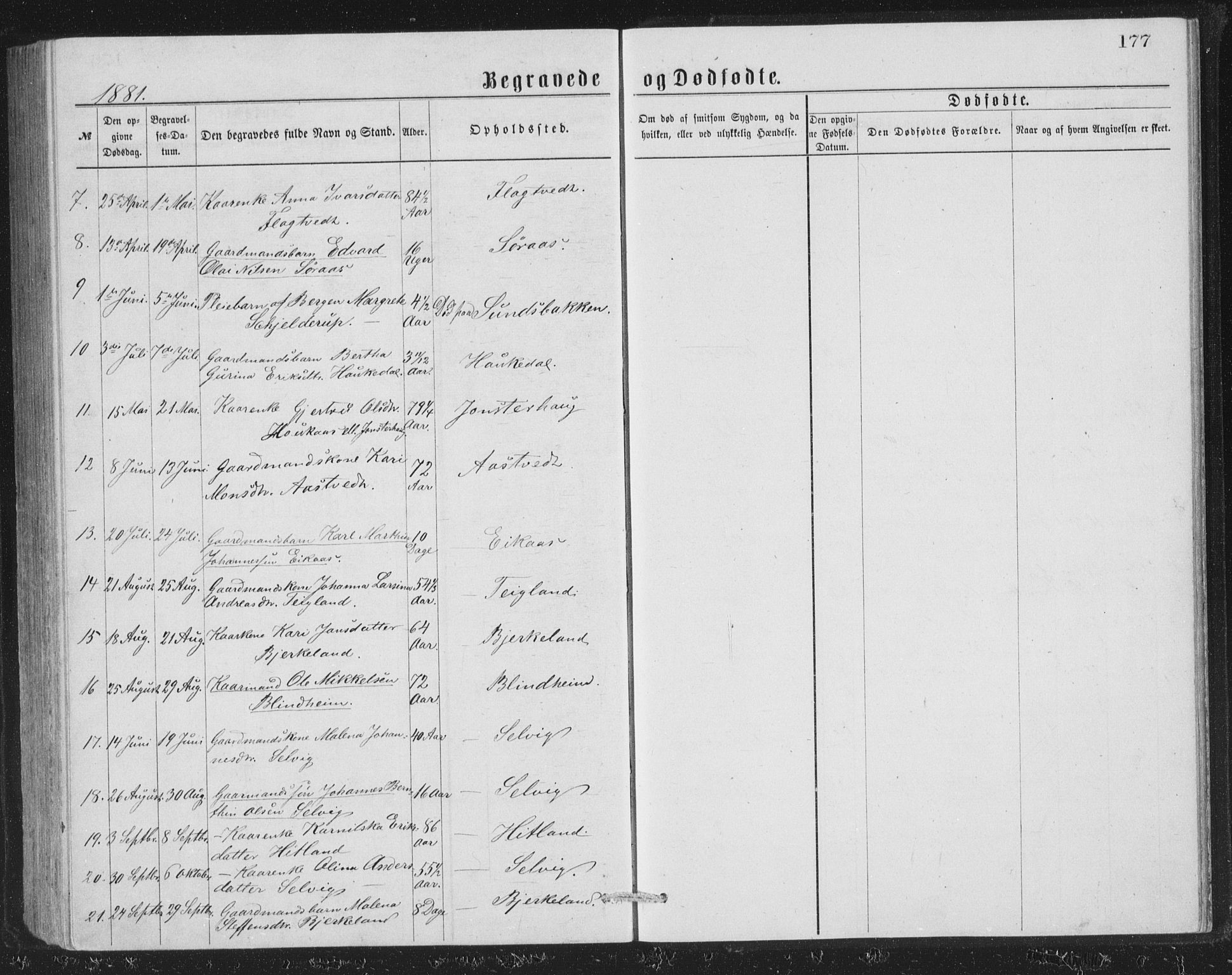 Åsane sokneprestembete, AV/SAB-A-79401/H/Hab: Klokkerbok nr. A 1, 1870-1884, s. 177