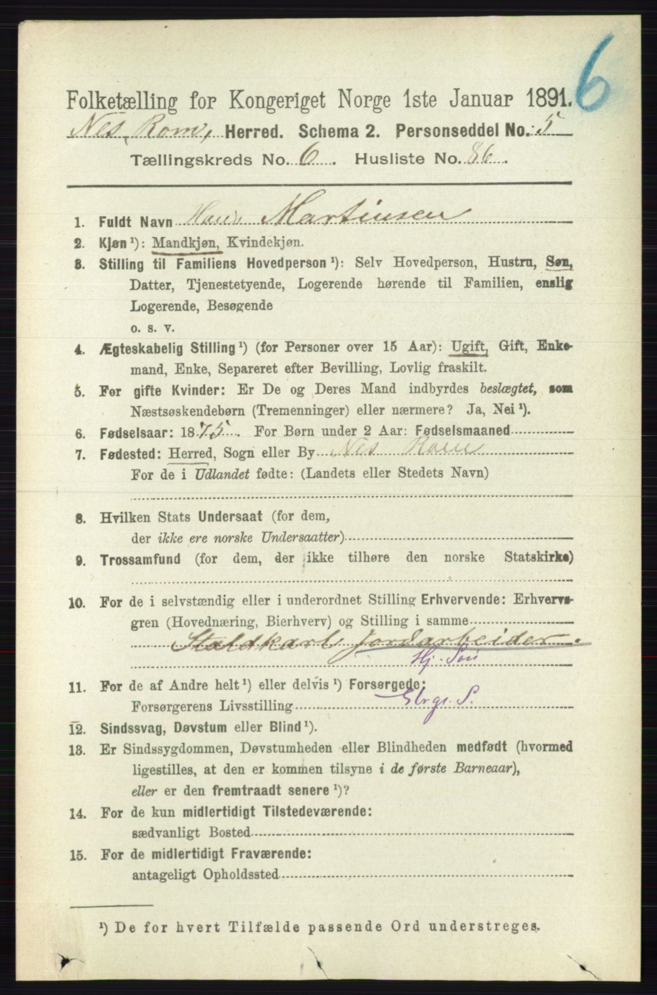 RA, Folketelling 1891 for 0236 Nes herred, 1891, s. 3915