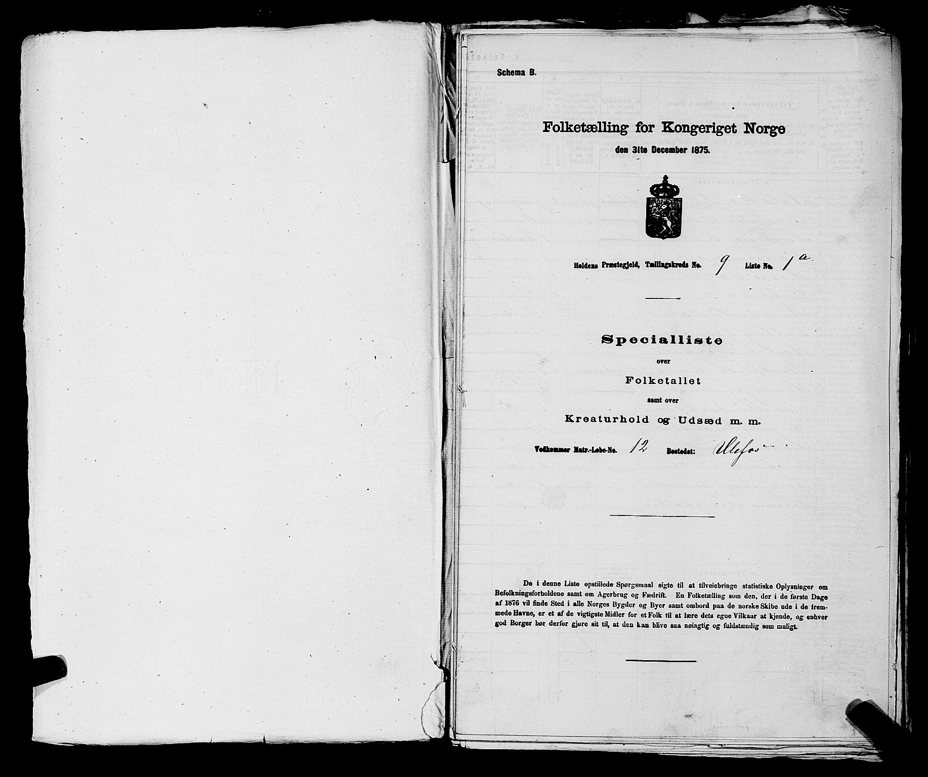 SAKO, Folketelling 1875 for 0819P Holla prestegjeld, 1875, s. 1076