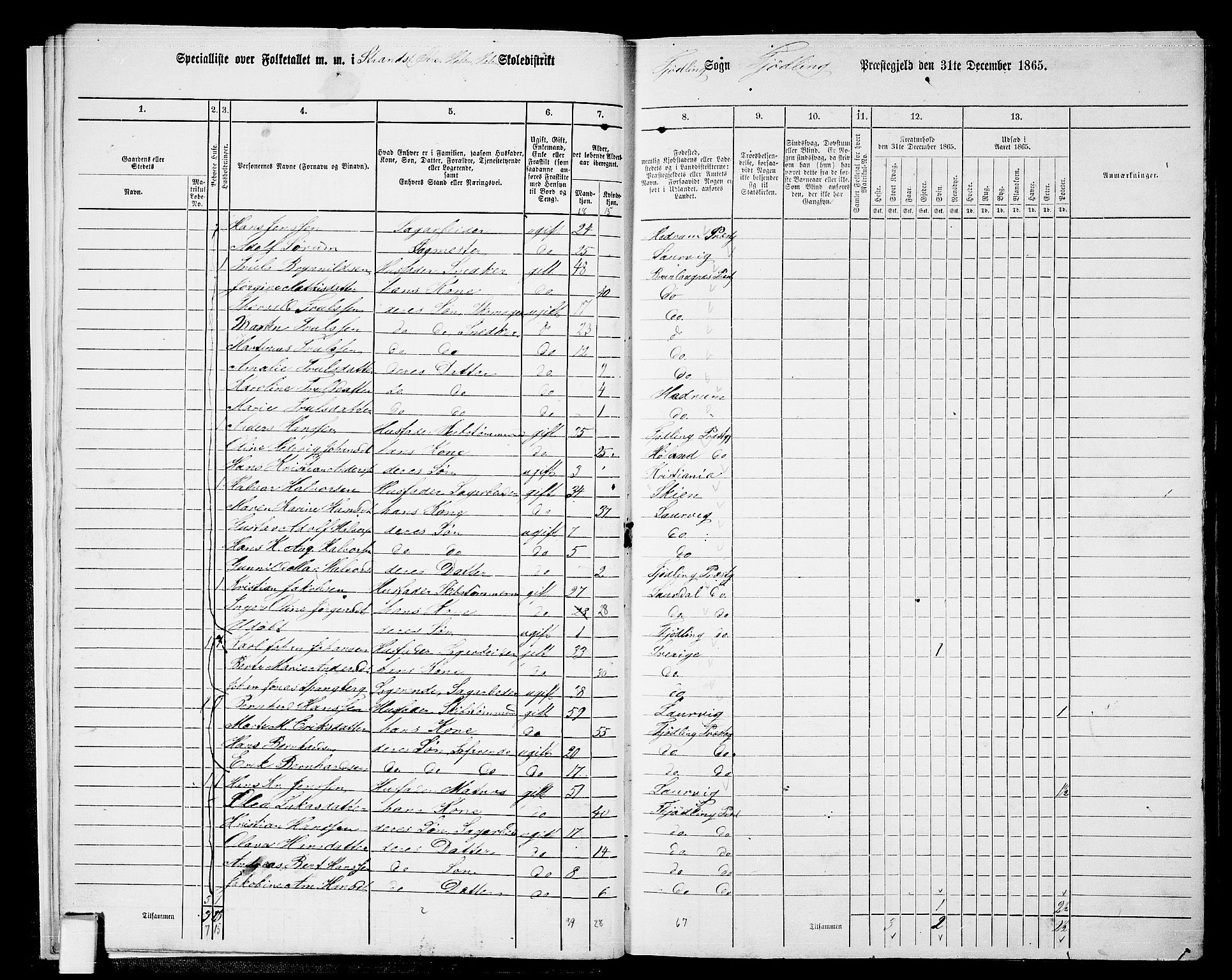 RA, Folketelling 1865 for 0725P Tjølling prestegjeld, 1865, s. 17