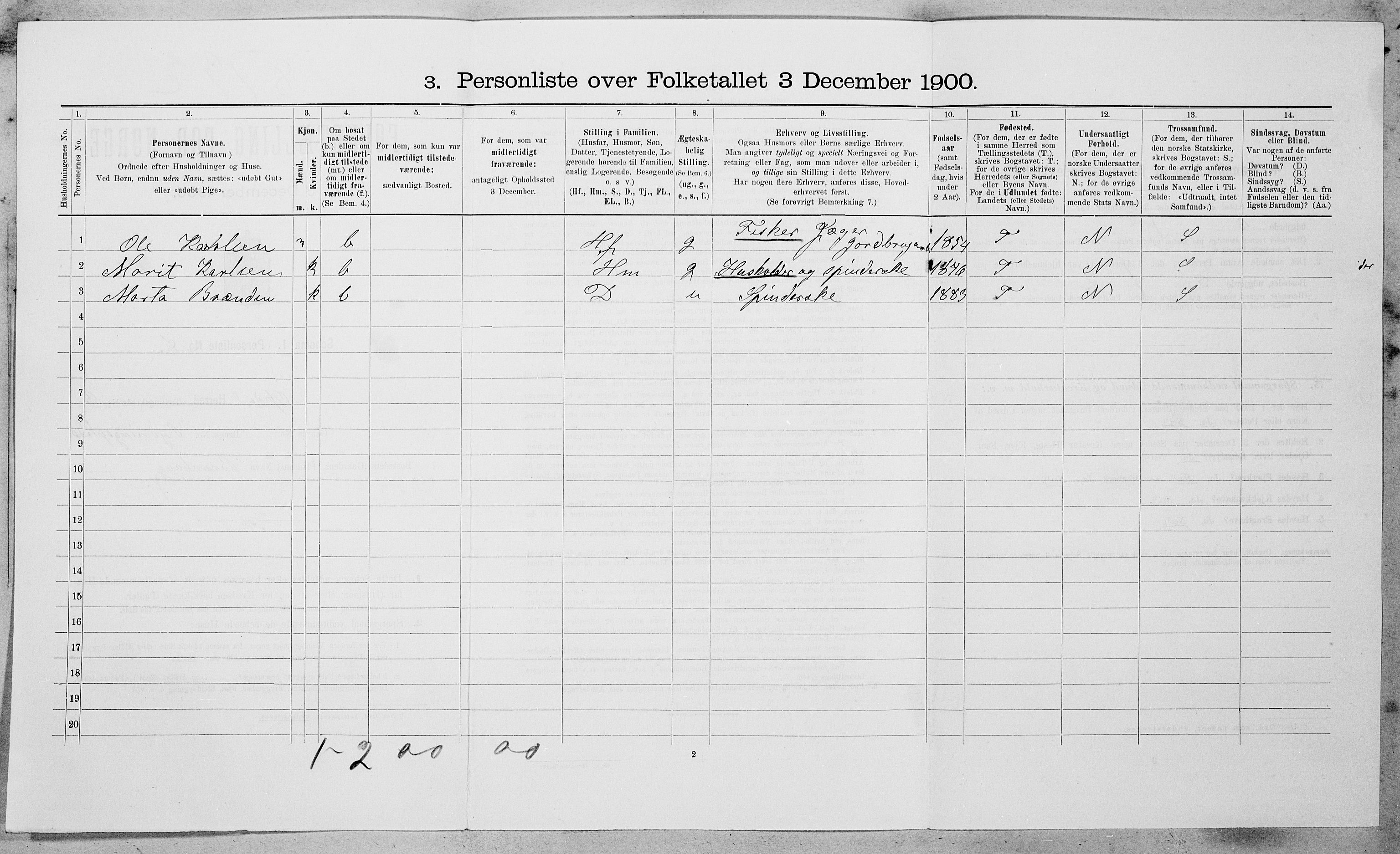 SAT, Folketelling 1900 for 1634 Oppdal herred, 1900, s. 313