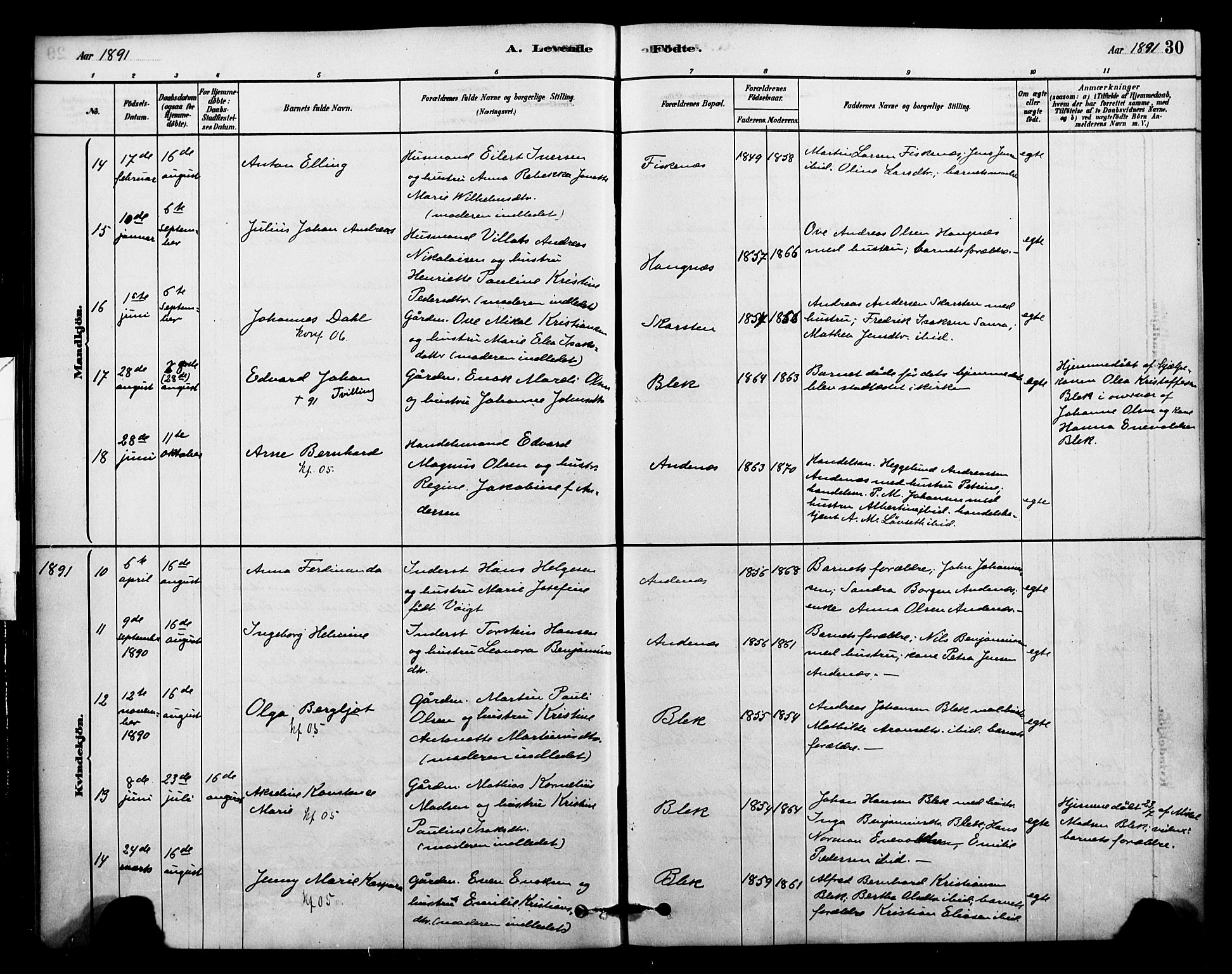 Ministerialprotokoller, klokkerbøker og fødselsregistre - Nordland, AV/SAT-A-1459/899/L1436: Ministerialbok nr. 899A04, 1881-1896, s. 30