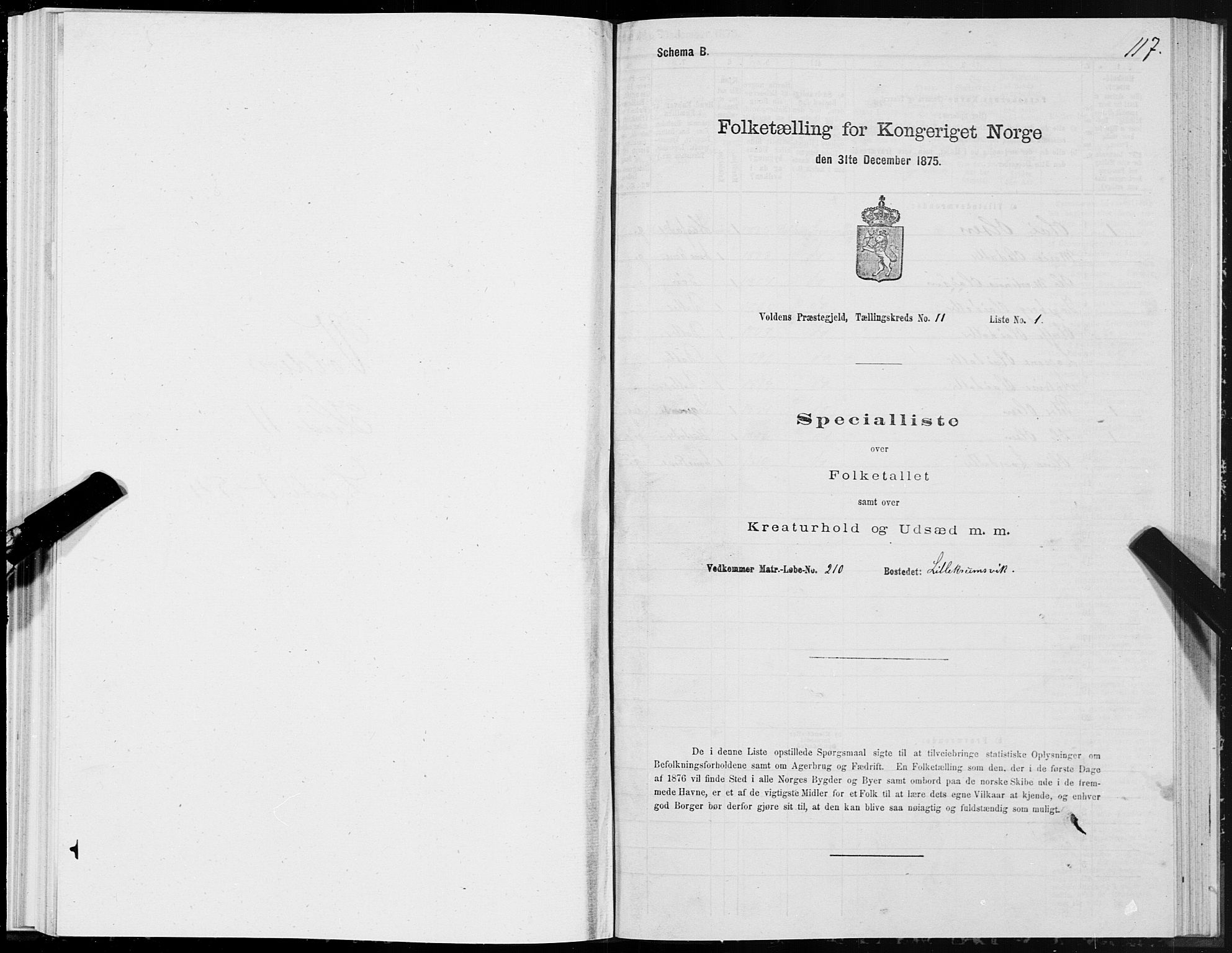 SAT, Folketelling 1875 for 1519P Volda prestegjeld, 1875, s. 6117