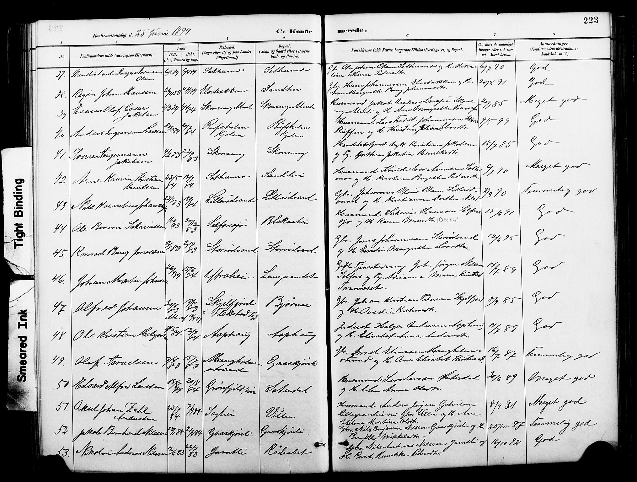 Ministerialprotokoller, klokkerbøker og fødselsregistre - Nordland, AV/SAT-A-1459/827/L0421: Klokkerbok nr. 827C10, 1887-1906, s. 223
