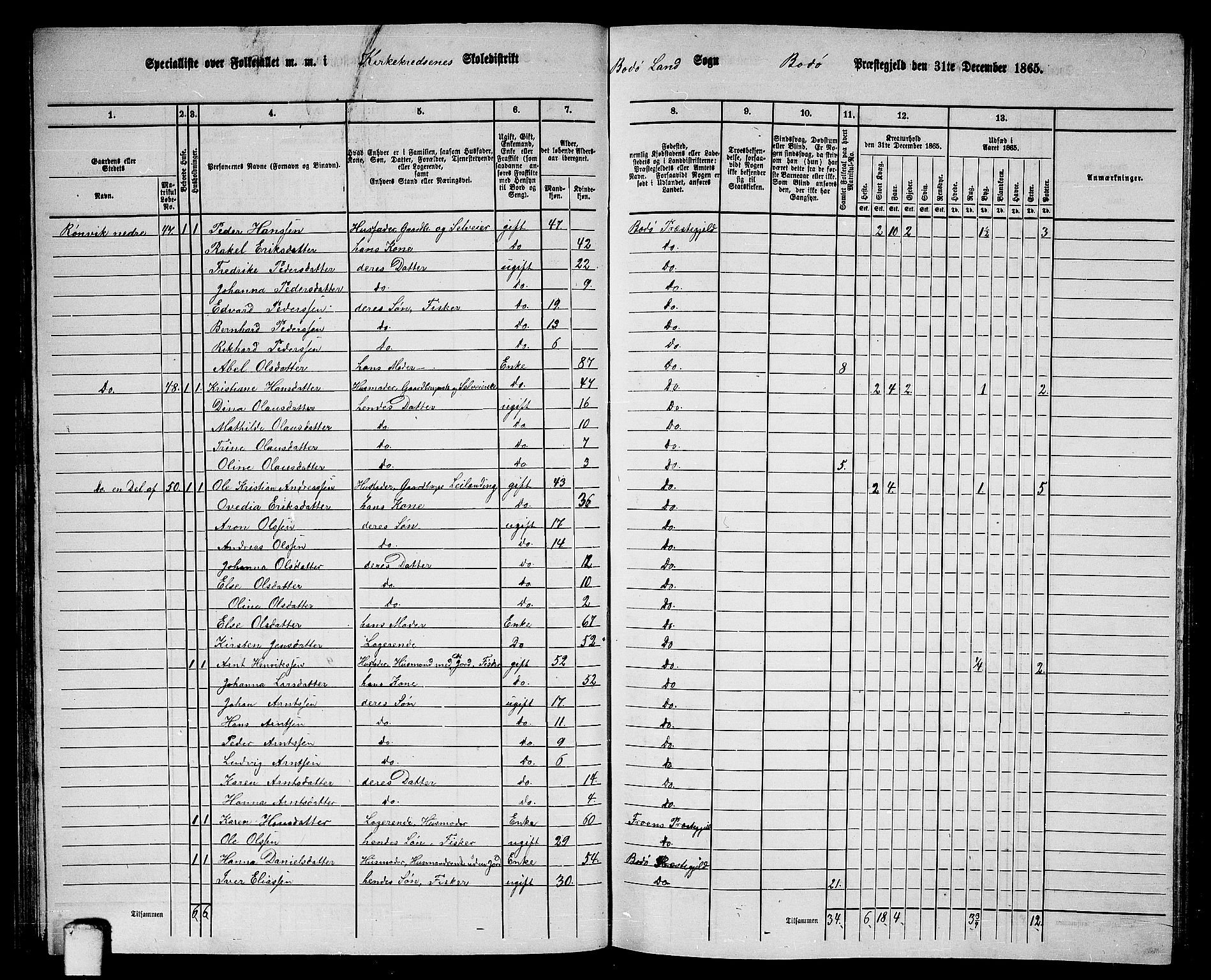 RA, Folketelling 1865 for 1843L Bodø prestegjeld, Bodø landsokn, 1865, s. 35