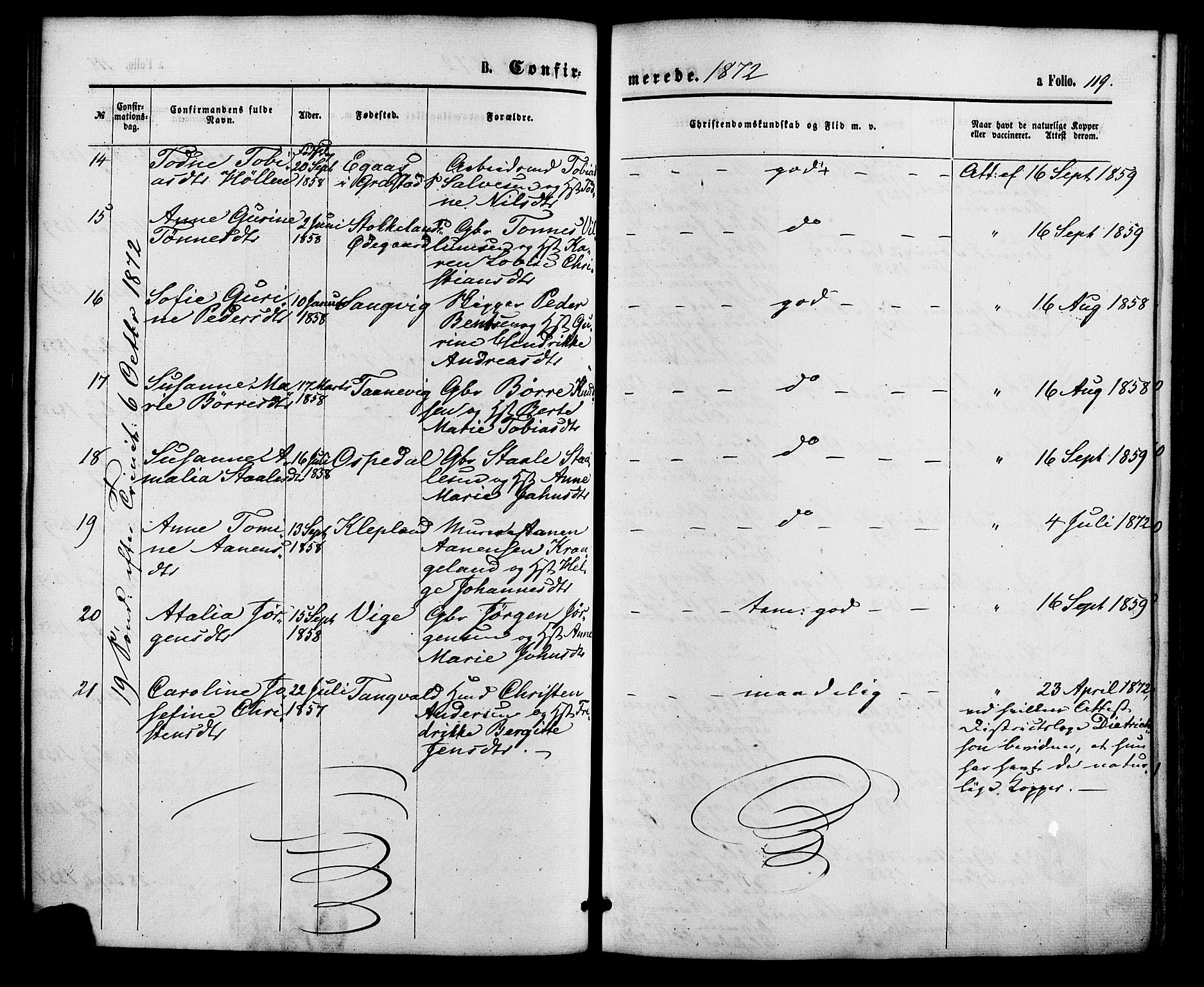 Søgne sokneprestkontor, AV/SAK-1111-0037/F/Fa/Fab/L0011: Ministerialbok nr. A 11, 1869-1879, s. 119