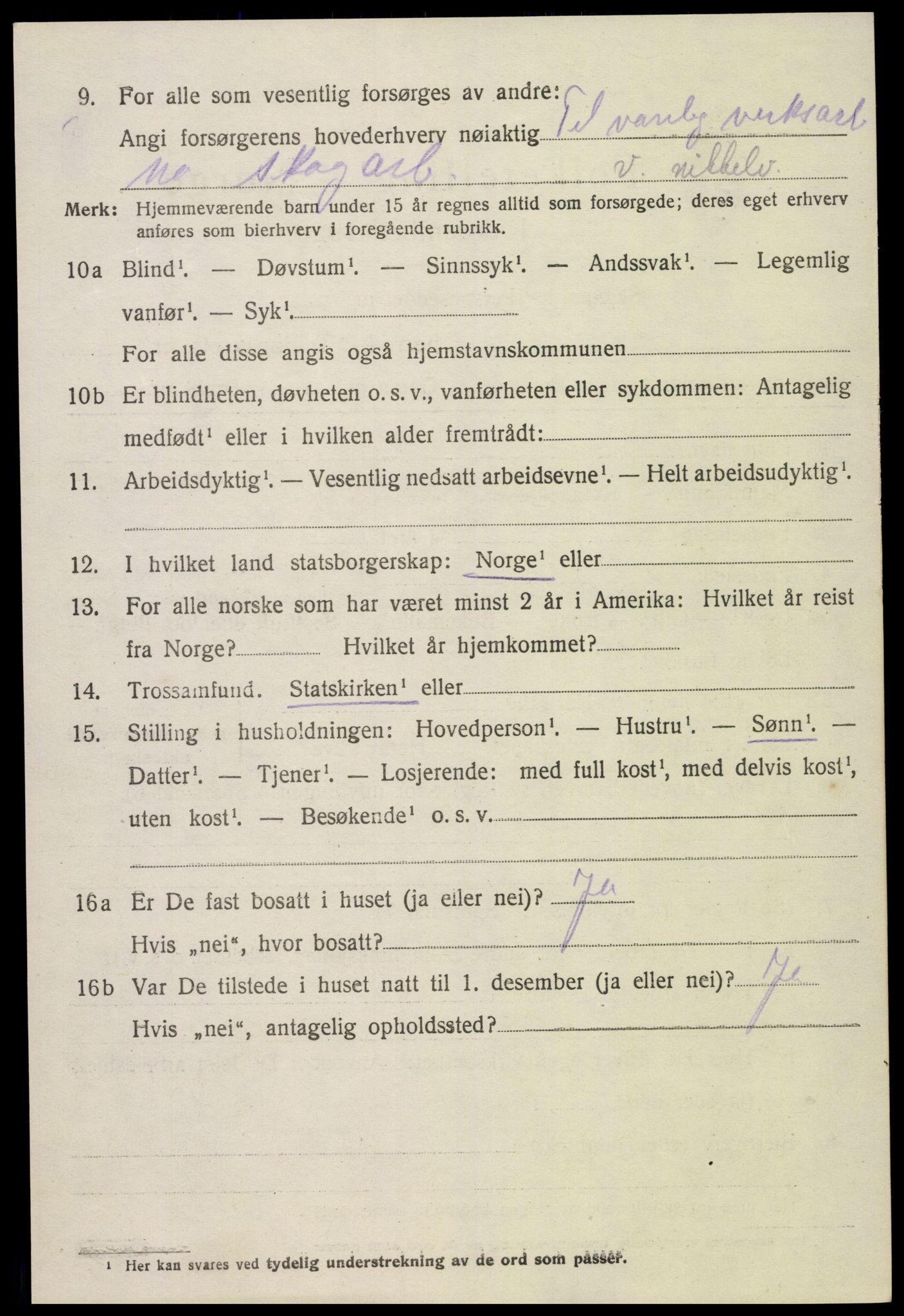 SAK, Folketelling 1920 for 0936 Hornnes herred, 1920, s. 942