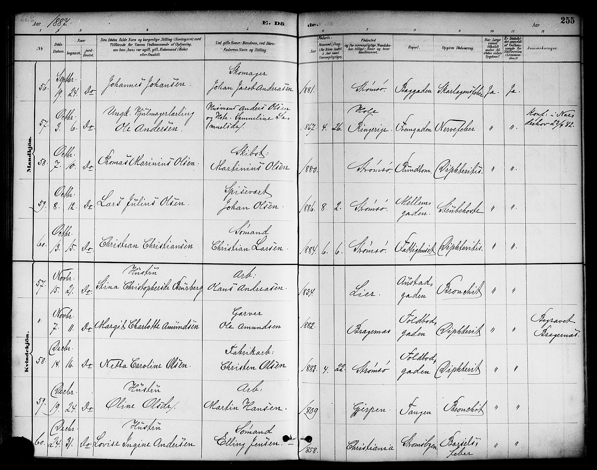 Strømsø kirkebøker, AV/SAKO-A-246/F/Fa/L0023: Ministerialbok nr. I 23, 1885-1894, s. 255