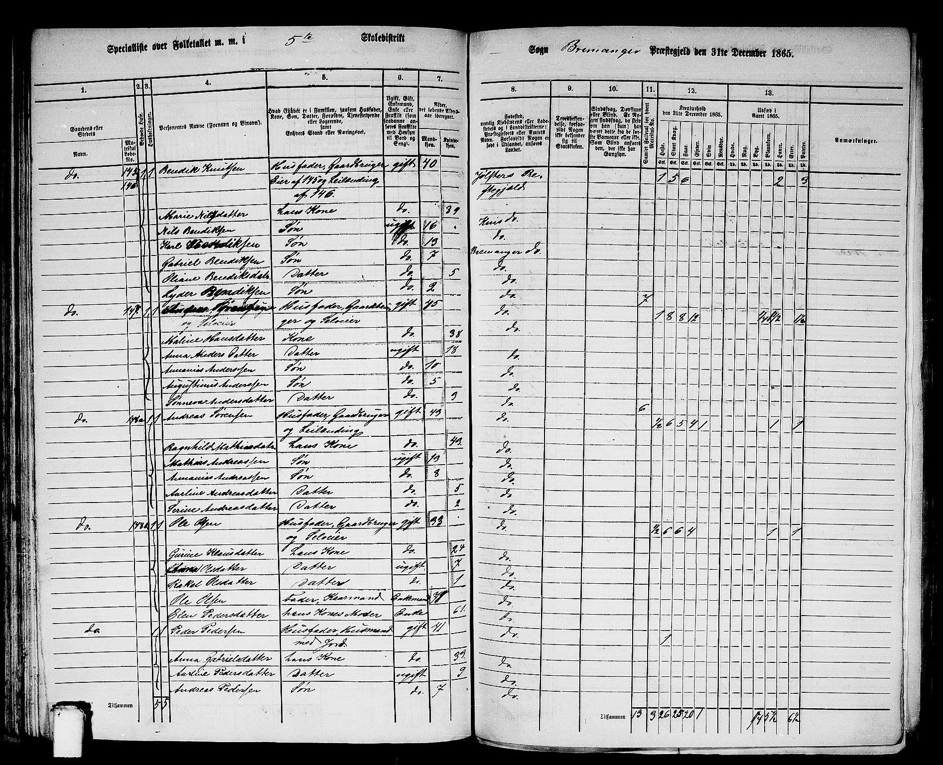 RA, Folketelling 1865 for 1438P Bremanger prestegjeld, 1865, s. 80