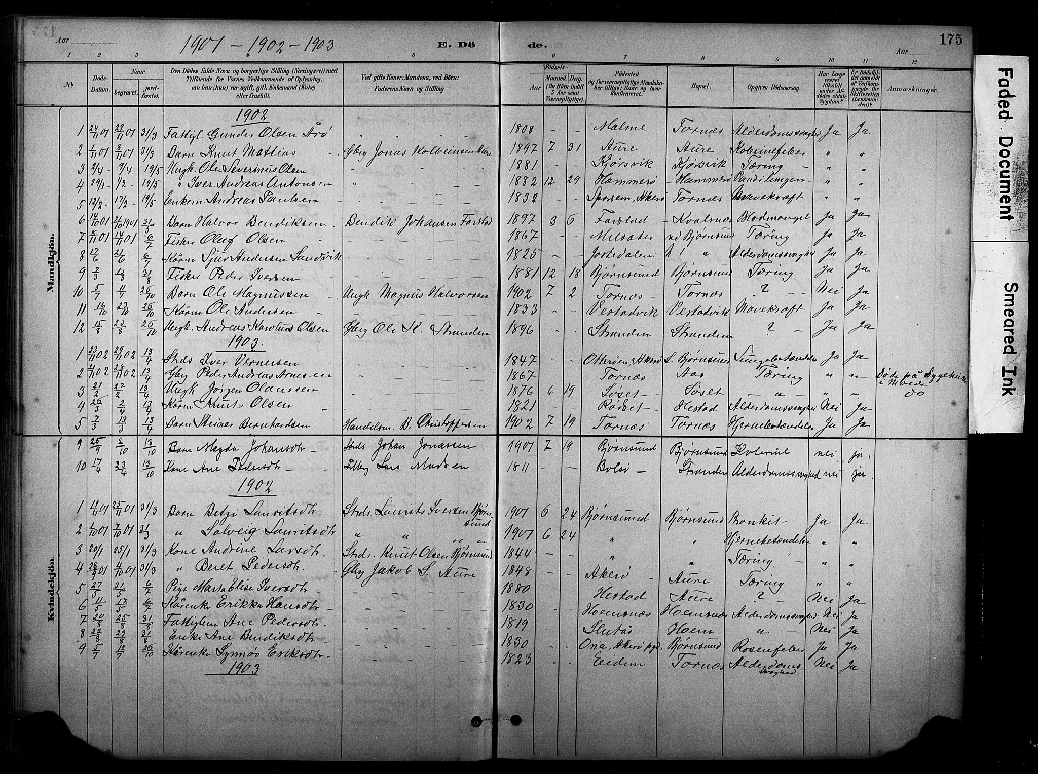 Ministerialprotokoller, klokkerbøker og fødselsregistre - Møre og Romsdal, SAT/A-1454/565/L0755: Klokkerbok nr. 565C04, 1883-1903, s. 175