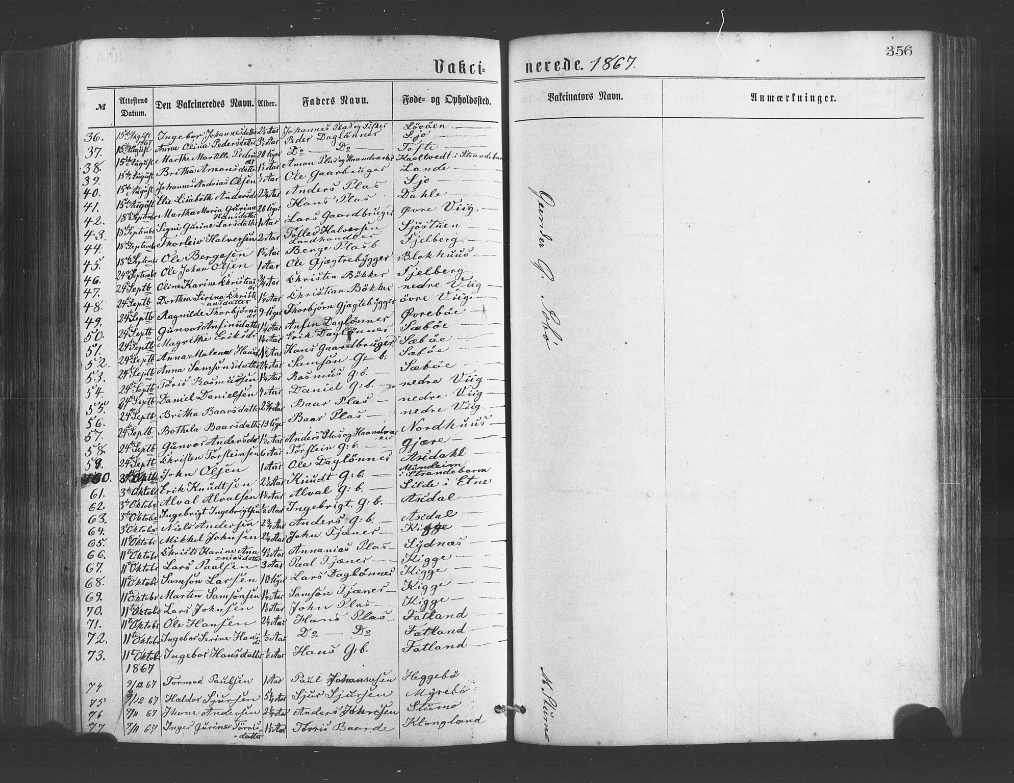 Fjelberg sokneprestembete, AV/SAB-A-75201/H/Haa: Ministerialbok nr. A 8, 1866-1879, s. 356