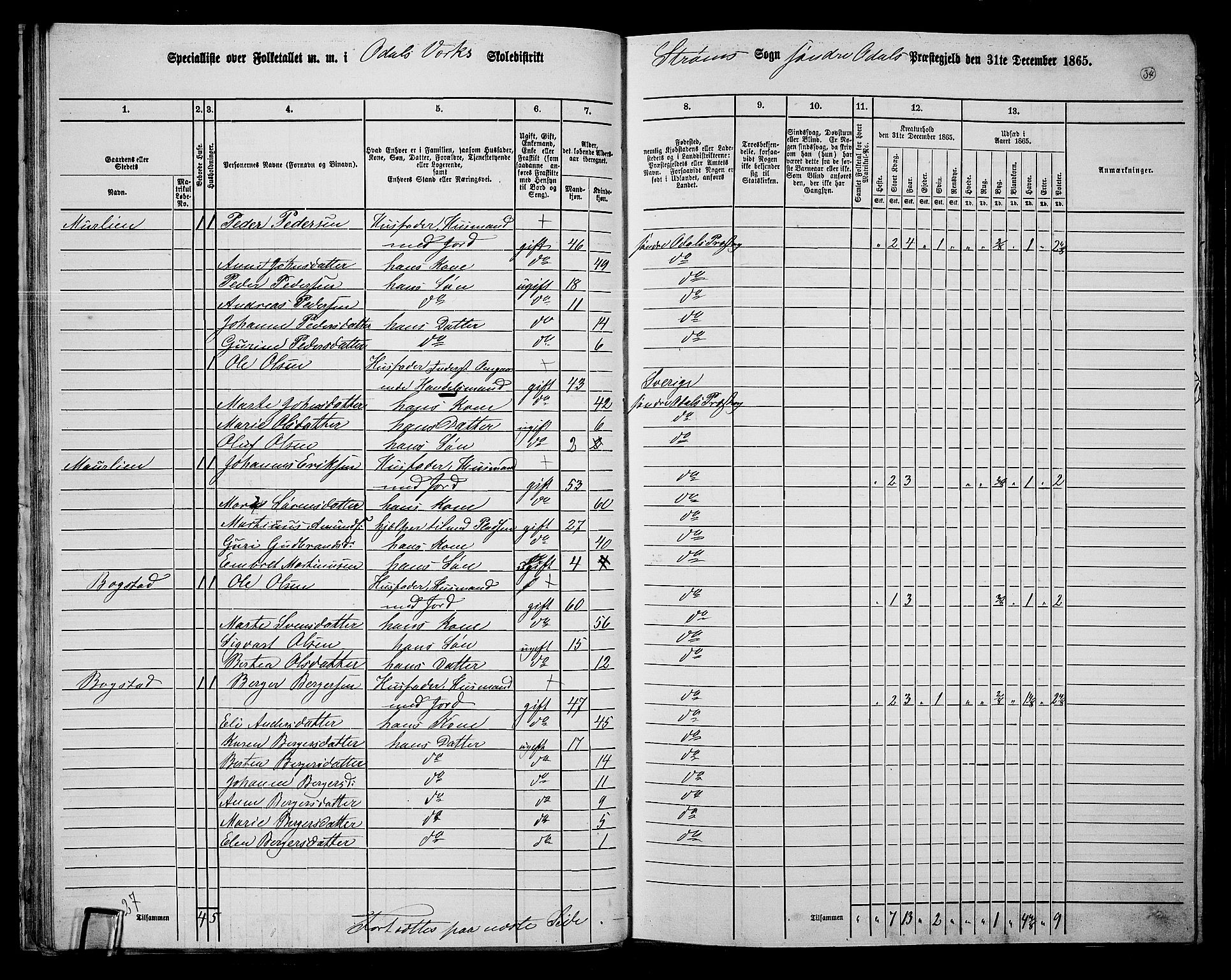 RA, Folketelling 1865 for 0419P Sør-Odal prestegjeld, 1865, s. 32