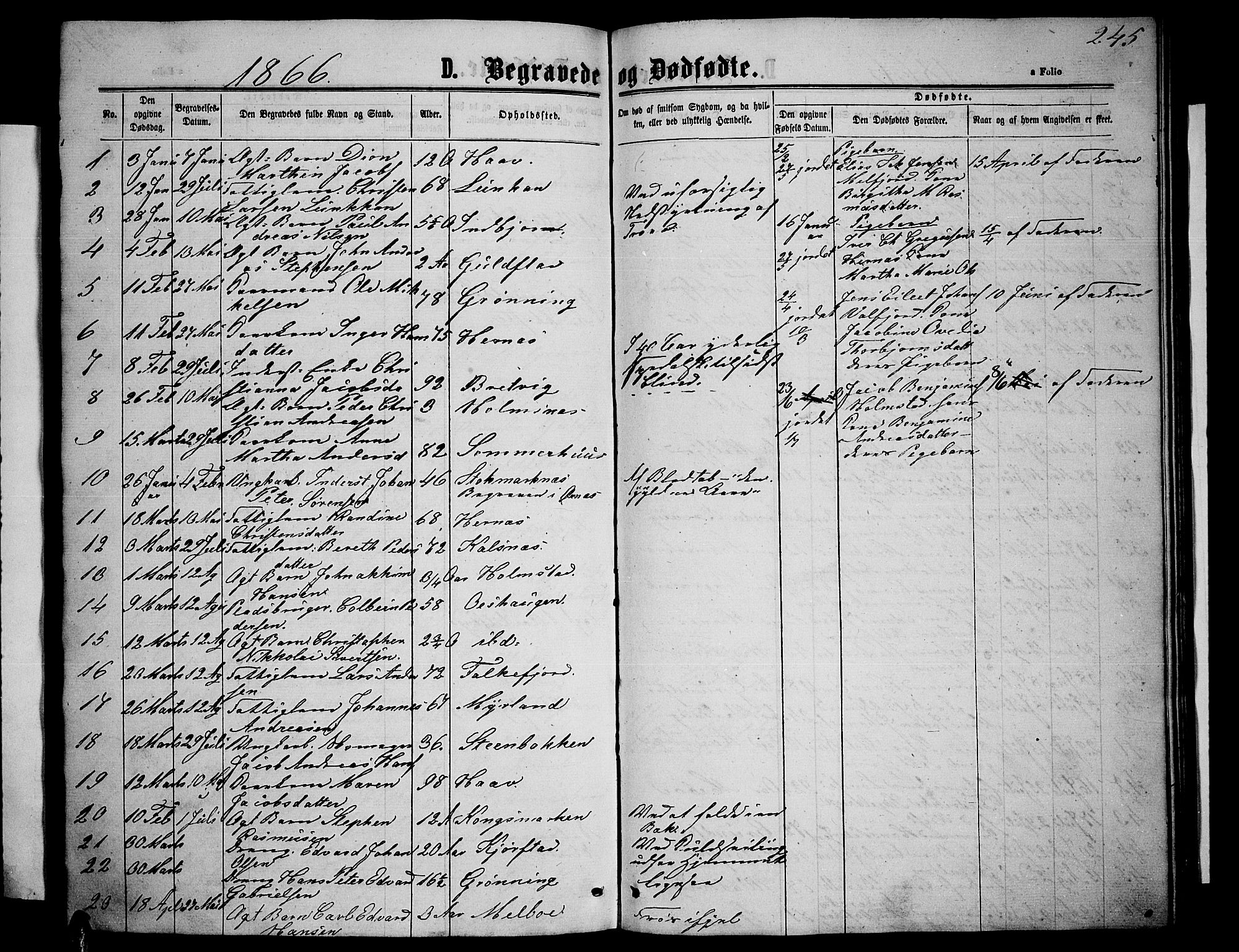 Ministerialprotokoller, klokkerbøker og fødselsregistre - Nordland, AV/SAT-A-1459/888/L1266: Klokkerbok nr. 888C04, 1864-1877, s. 245