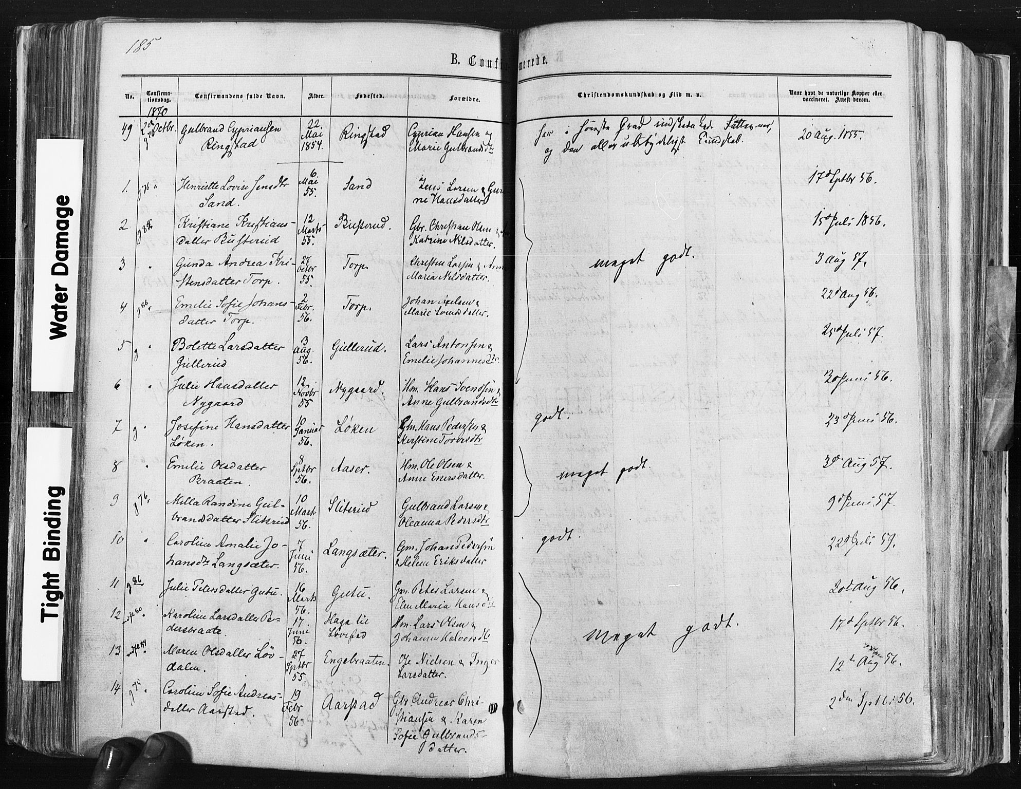 Trøgstad prestekontor Kirkebøker, SAO/A-10925/F/Fa/L0009: Ministerialbok nr. I 9, 1865-1877, s. 185