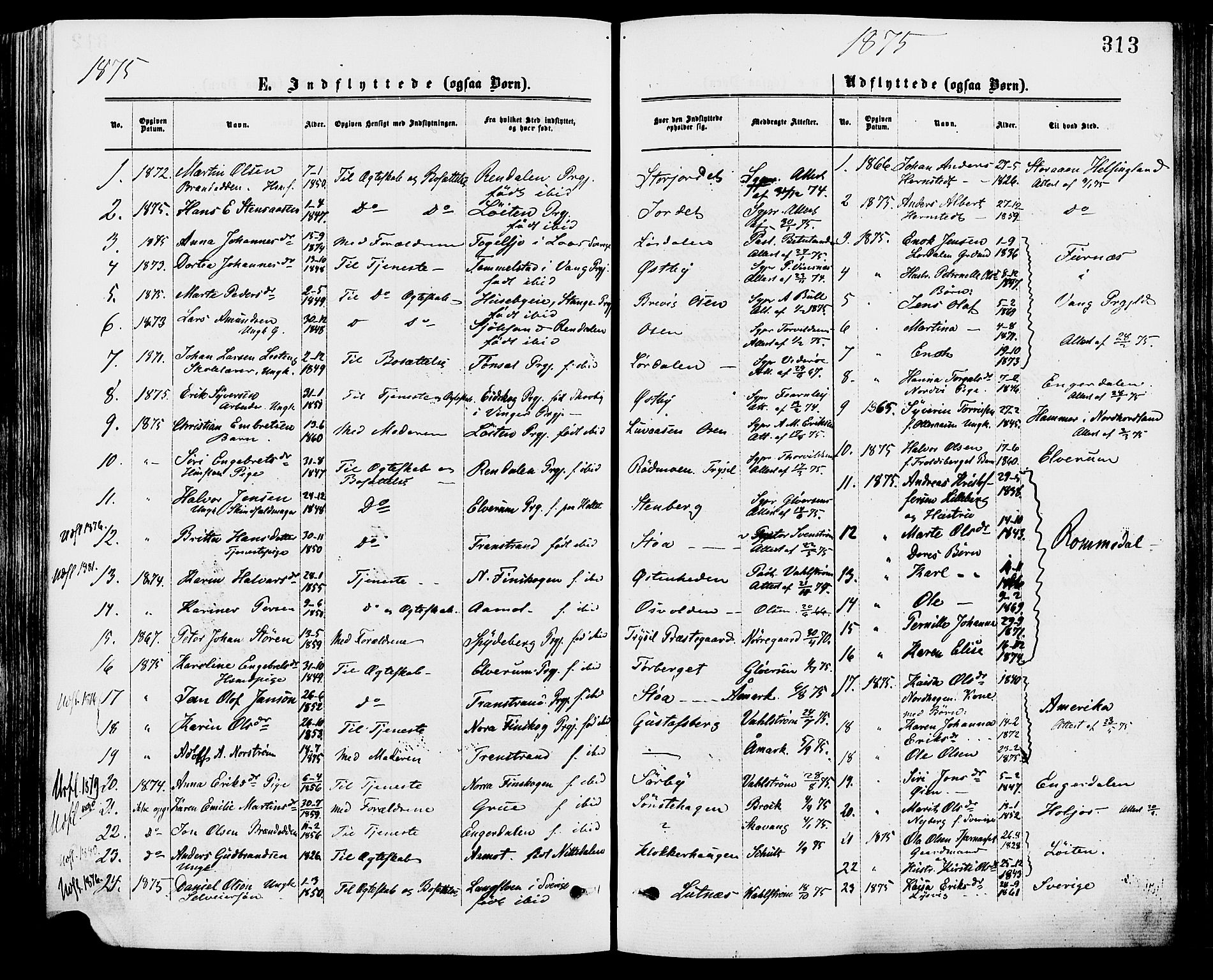 Trysil prestekontor, AV/SAH-PREST-046/H/Ha/Haa/L0007: Ministerialbok nr. 7, 1874-1880, s. 313