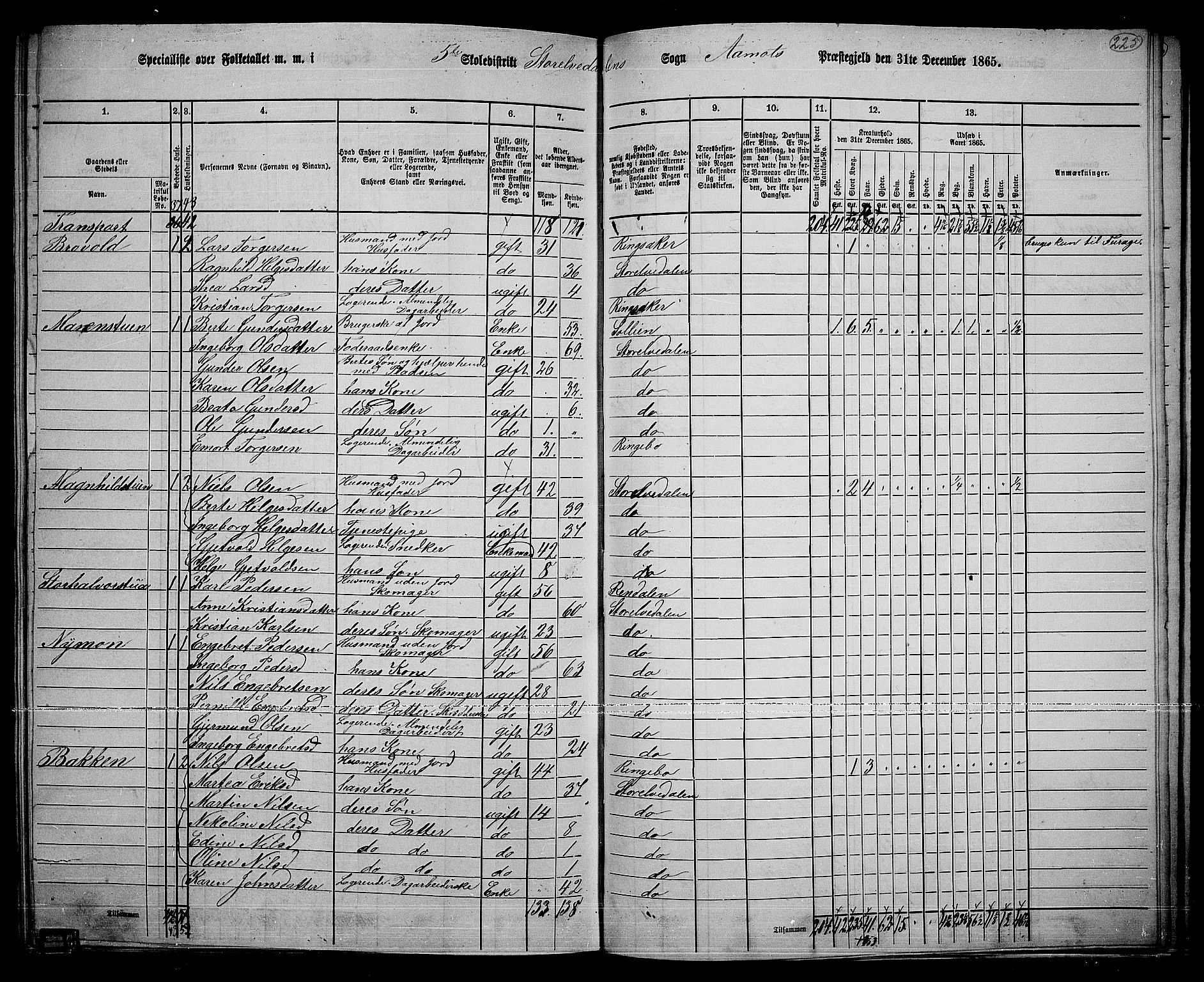 RA, Folketelling 1865 for 0429P Åmot prestegjeld, 1865, s. 195