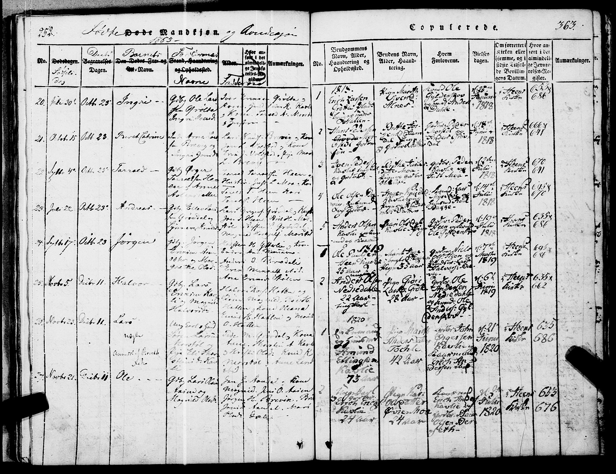 Ministerialprotokoller, klokkerbøker og fødselsregistre - Møre og Romsdal, AV/SAT-A-1454/545/L0585: Ministerialbok nr. 545A01, 1818-1853, s. 252-253