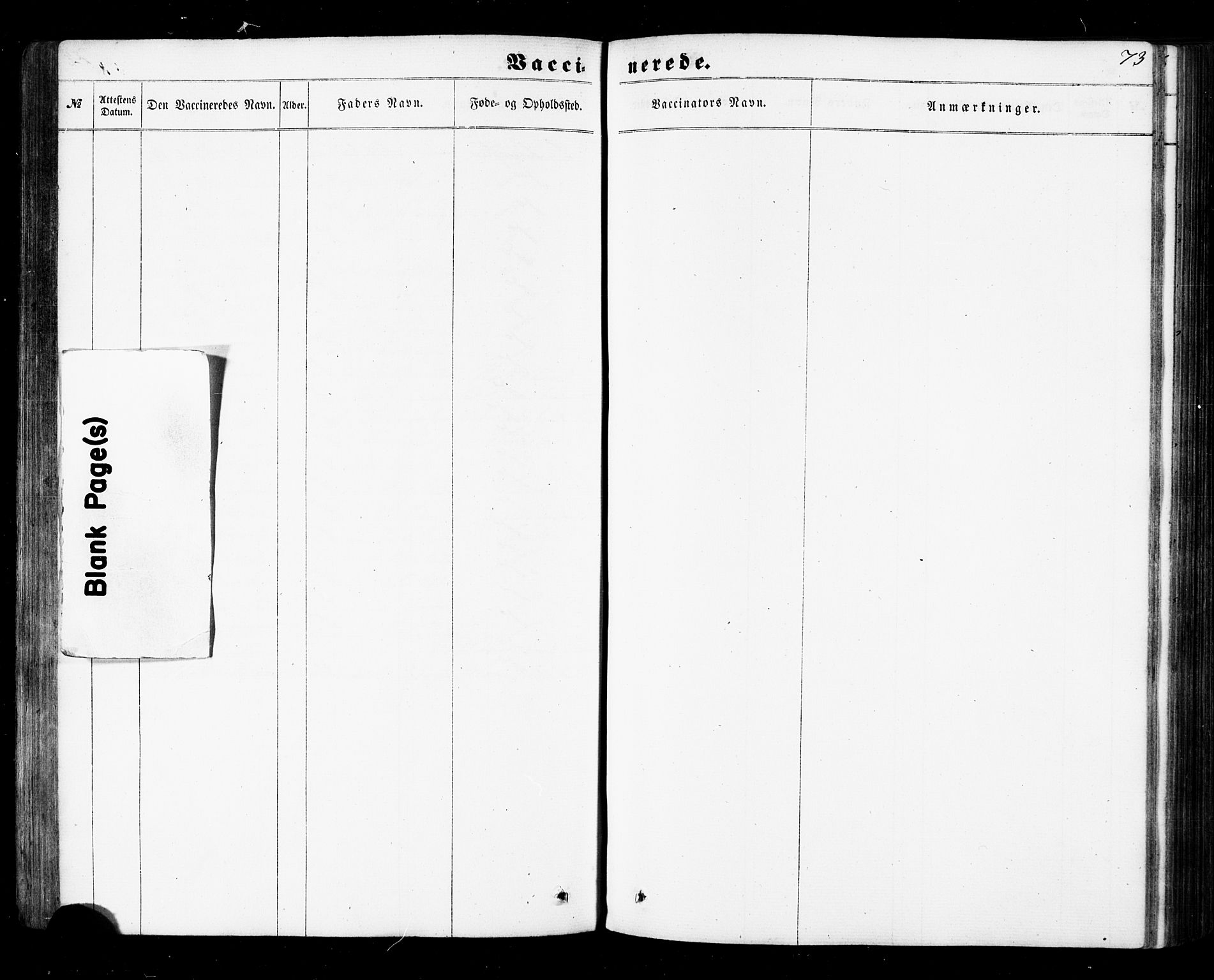 Ministerialprotokoller, klokkerbøker og fødselsregistre - Nordland, AV/SAT-A-1459/840/L0579: Ministerialbok nr. 840A01, 1863-1887, s. 73