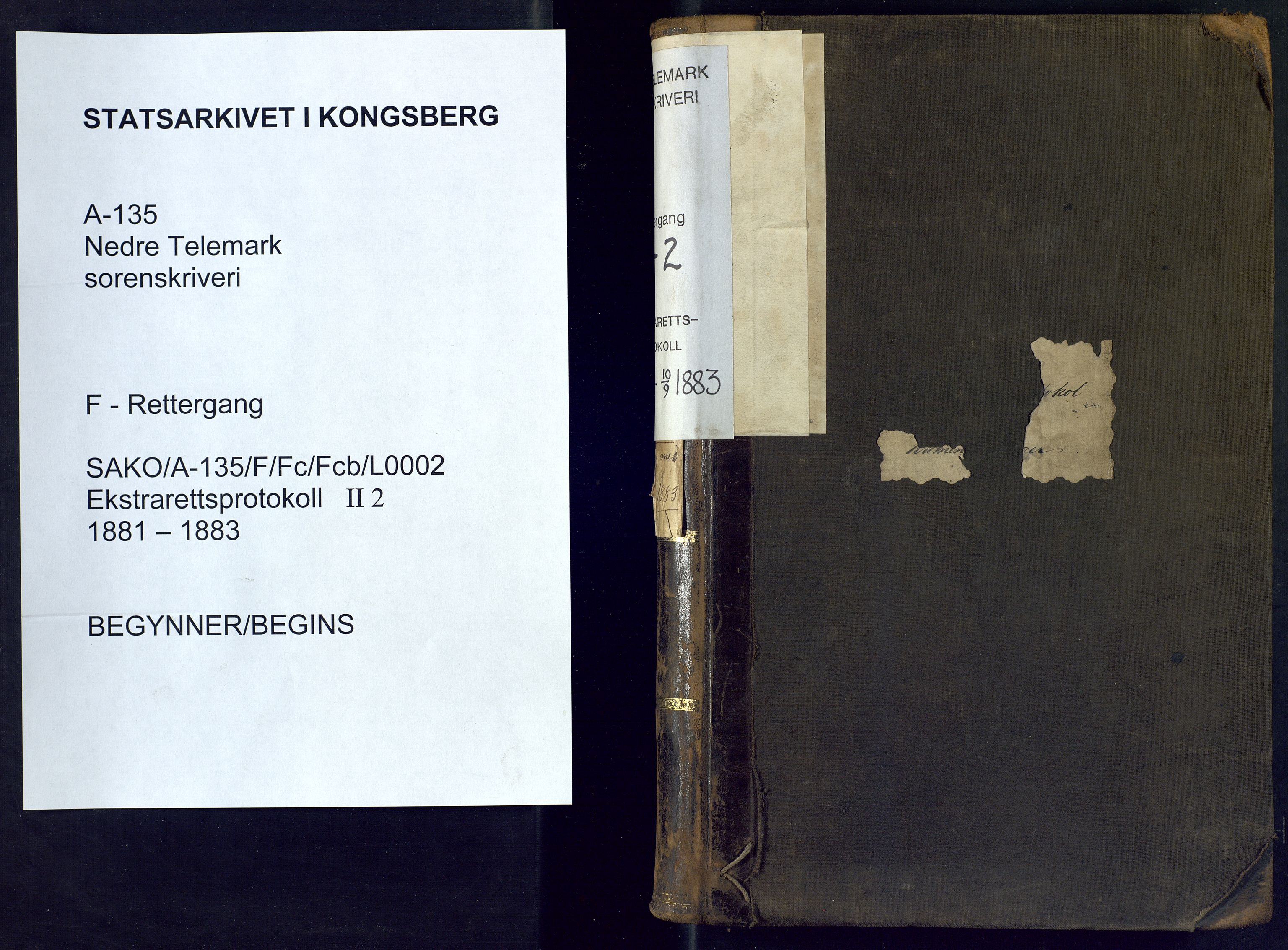 Nedre Telemark sorenskriveri, SAKO/A-135/F/Fc/Fcb/L0002: Ekstrarettsprotokoll, 1881-1883