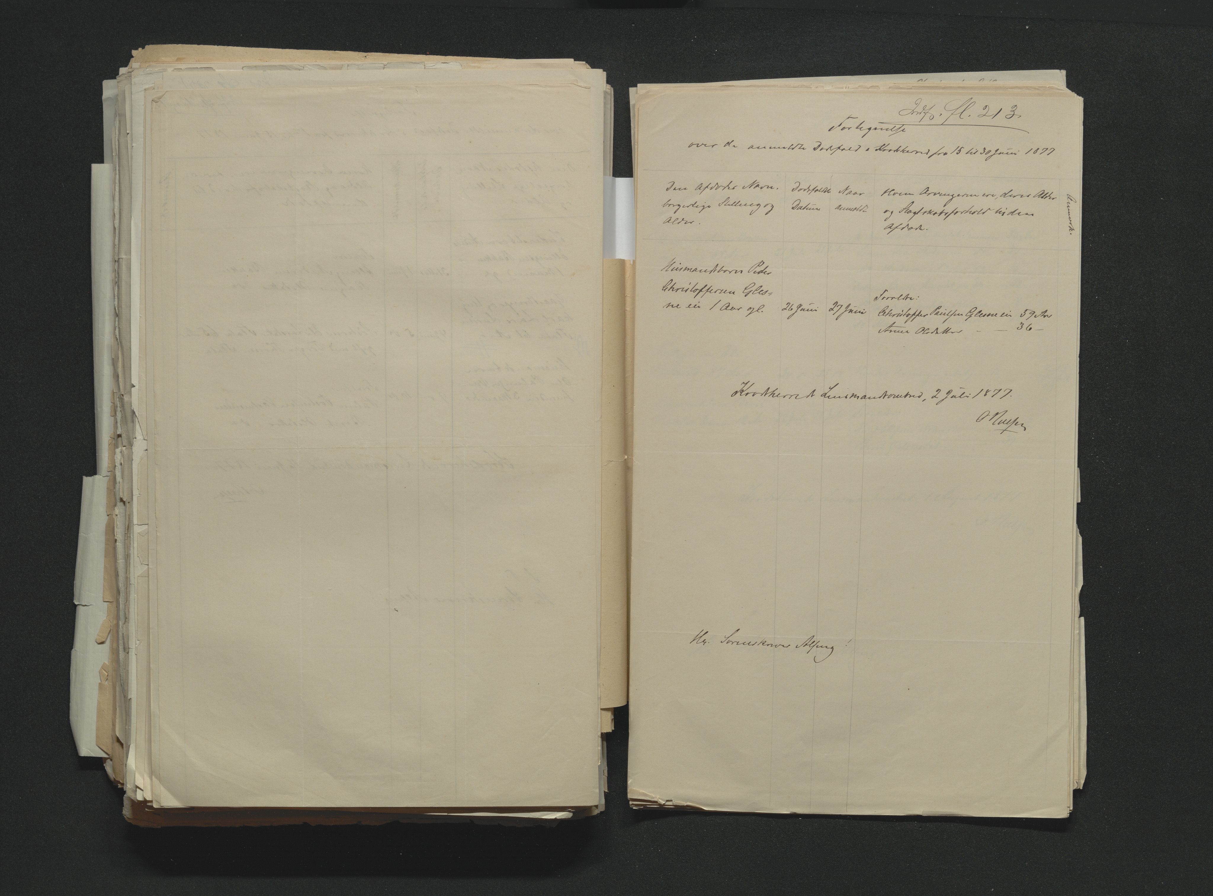 Eiker, Modum og Sigdal sorenskriveri, AV/SAKO-A-123/H/Ha/Hab/L0014: Dødsfallsmeldinger, 1874-1877, s. 741