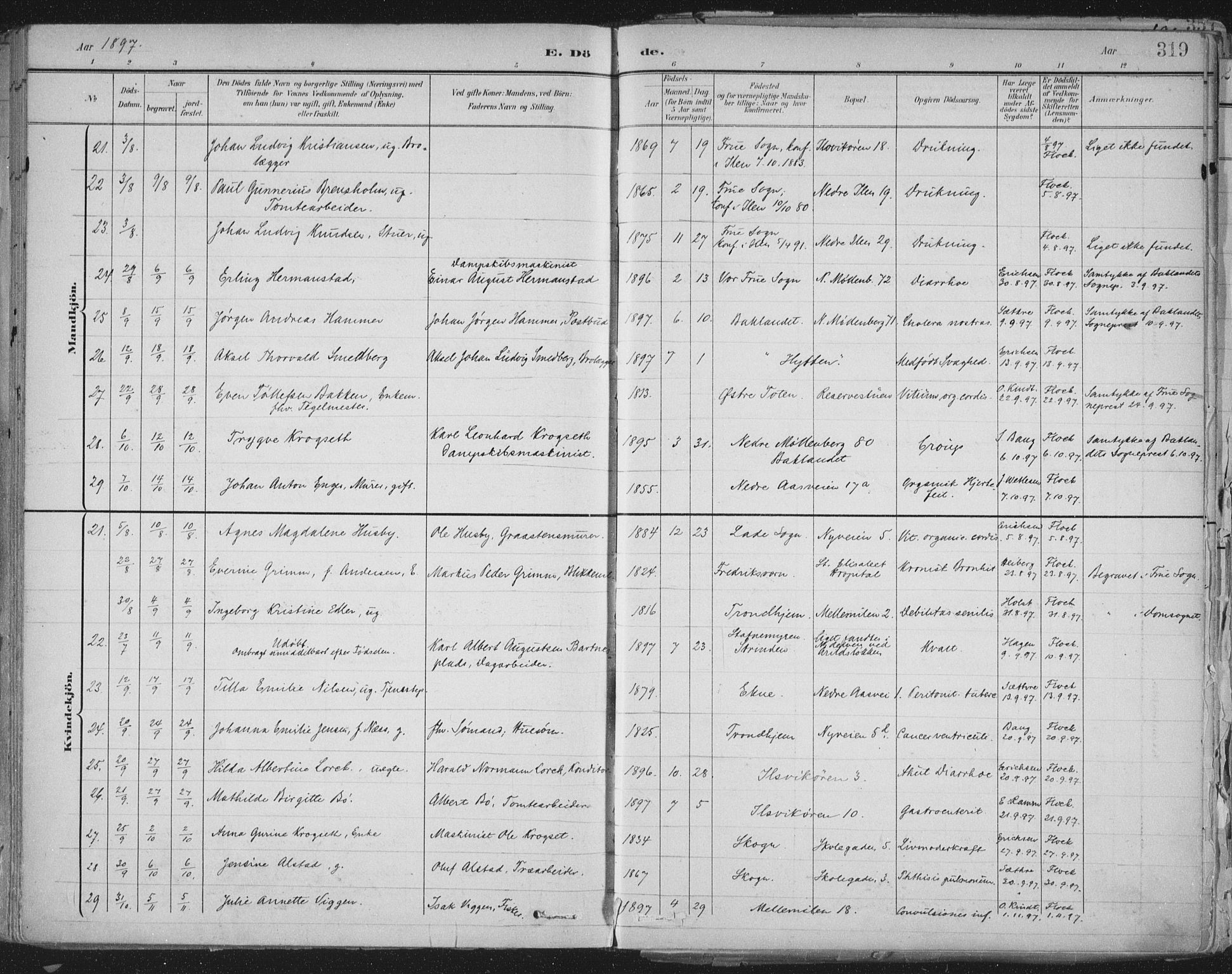 Ministerialprotokoller, klokkerbøker og fødselsregistre - Sør-Trøndelag, SAT/A-1456/603/L0167: Ministerialbok nr. 603A06, 1896-1932, s. 319