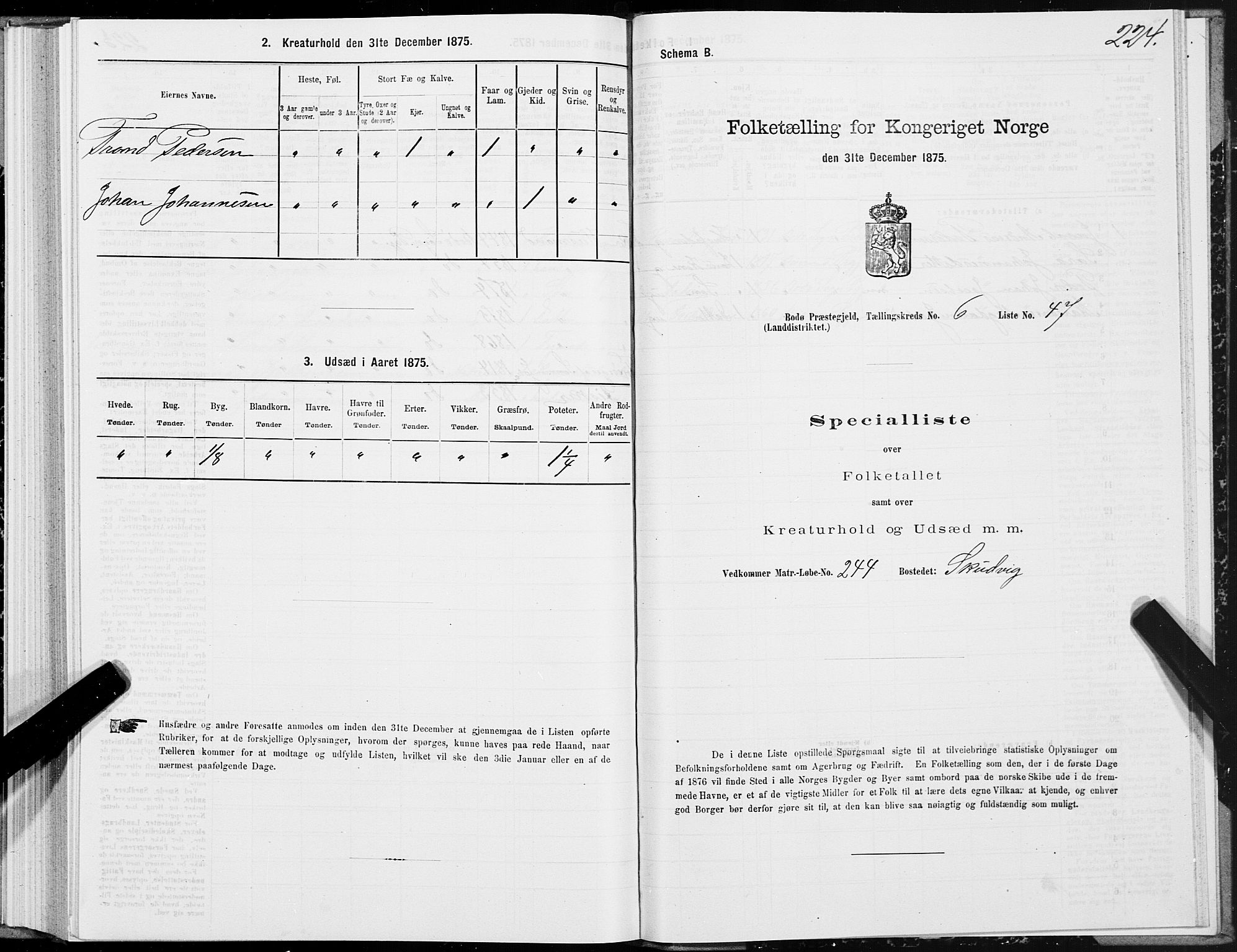 SAT, Folketelling 1875 for 1843L Bodø prestegjeld, Bodø landsokn, 1875, s. 3224