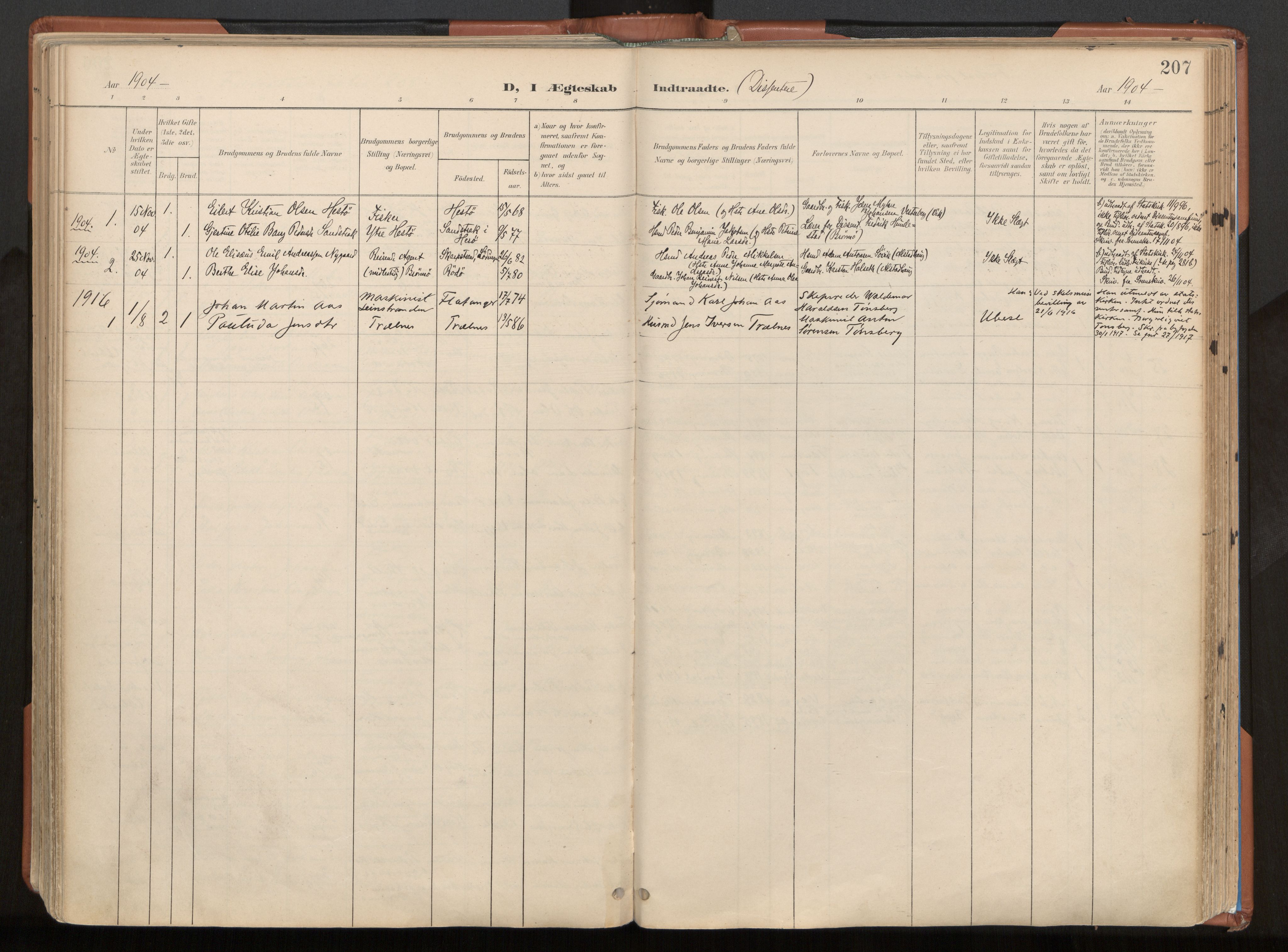Ministerialprotokoller, klokkerbøker og fødselsregistre - Nordland, AV/SAT-A-1459/813/L0201: Ministerialbok nr. 813A11, 1901-1918, s. 207