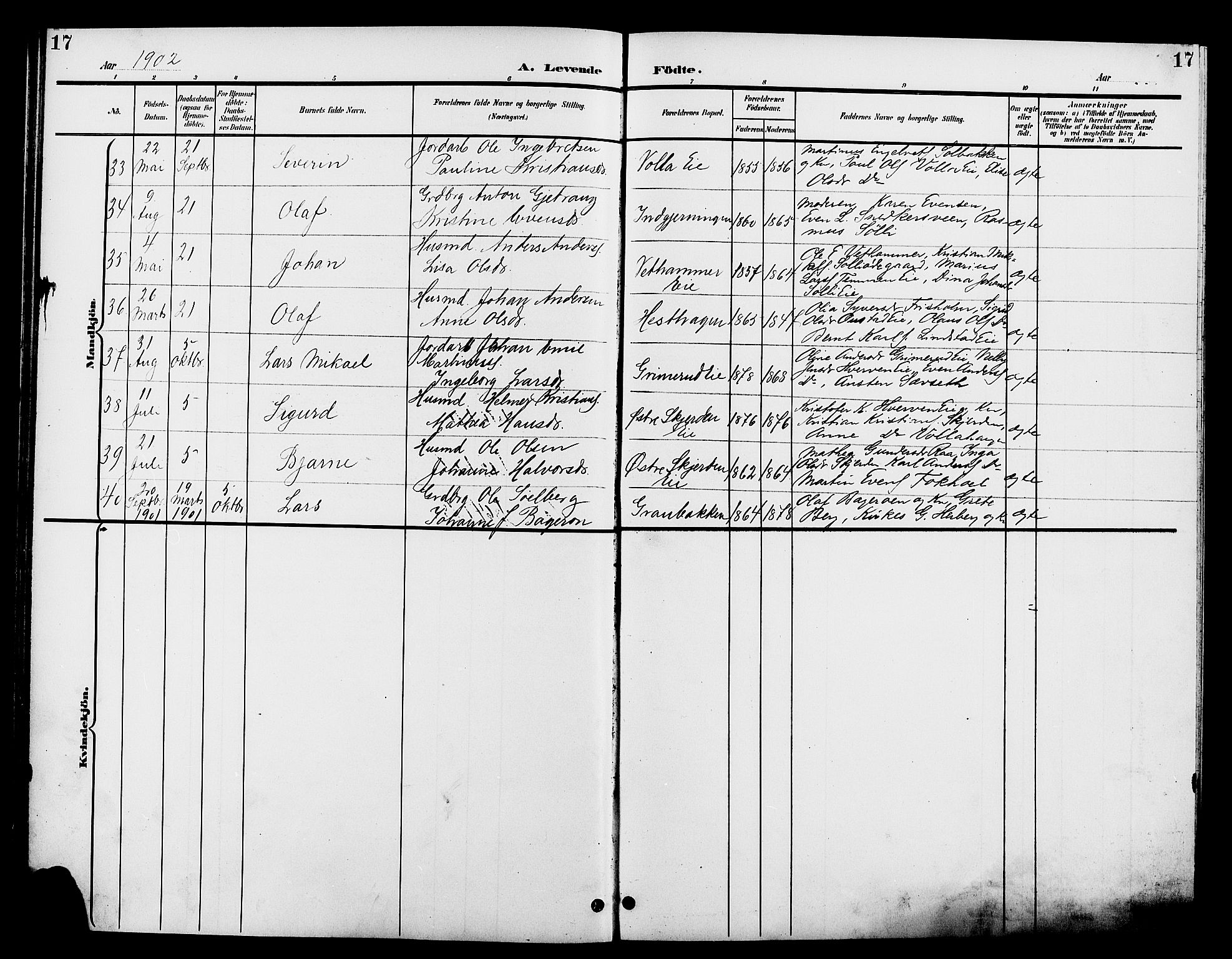 Stange prestekontor, AV/SAH-PREST-002/L/L0012: Klokkerbok nr. 12, 1900-1908, s. 17