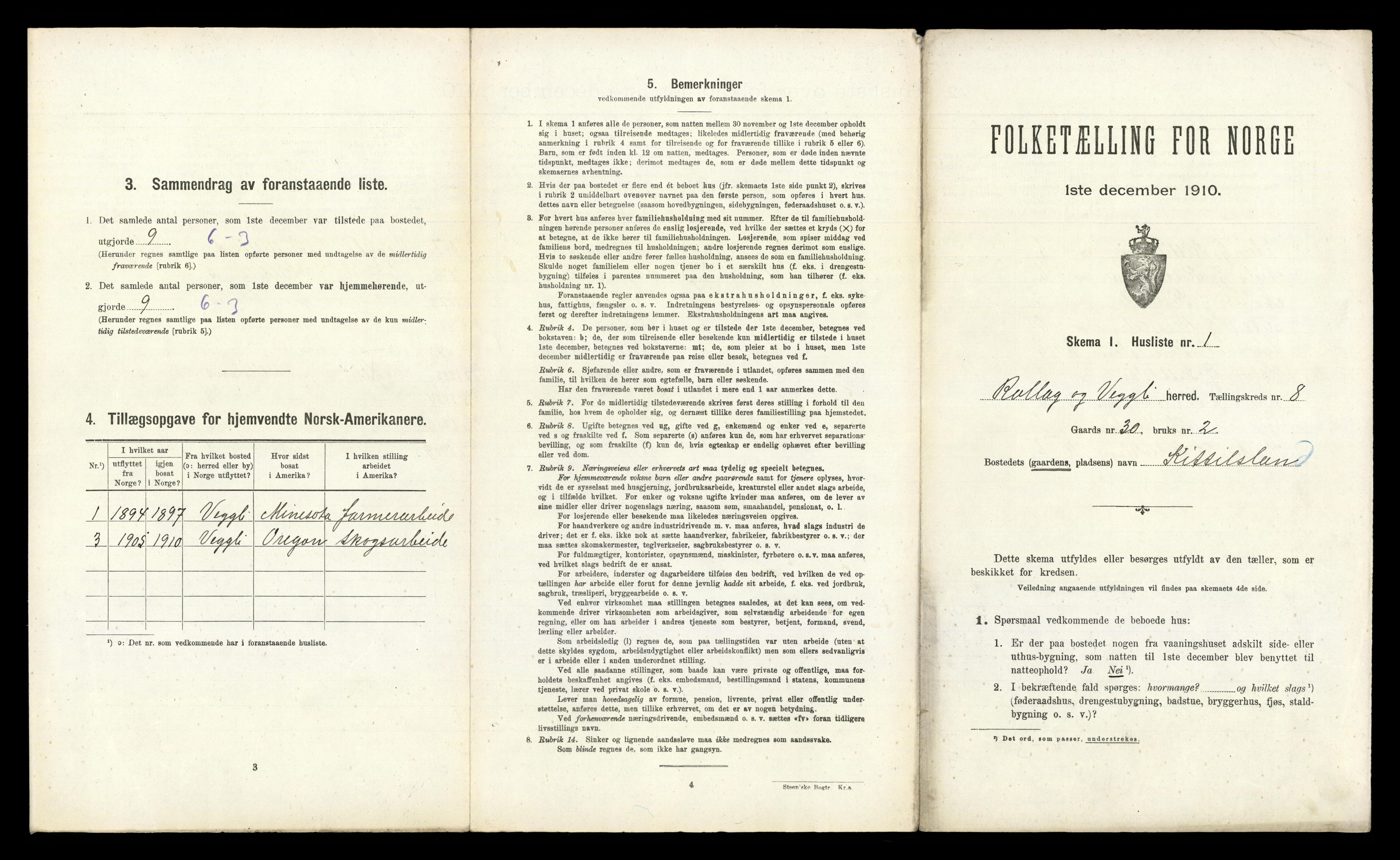 RA, Folketelling 1910 for 0632 Rollag herred, 1910, s. 477