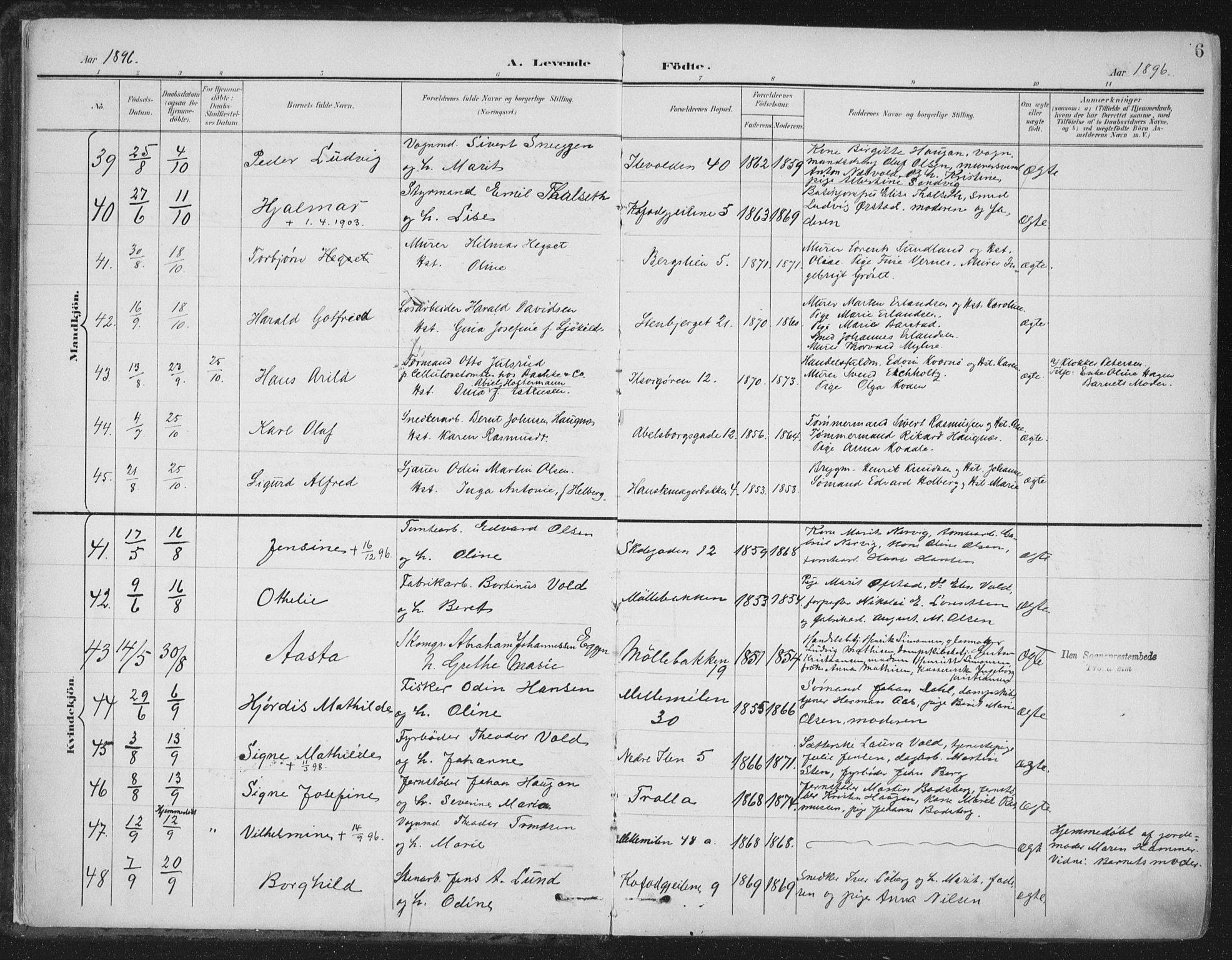 Ministerialprotokoller, klokkerbøker og fødselsregistre - Sør-Trøndelag, AV/SAT-A-1456/603/L0167: Ministerialbok nr. 603A06, 1896-1932, s. 6