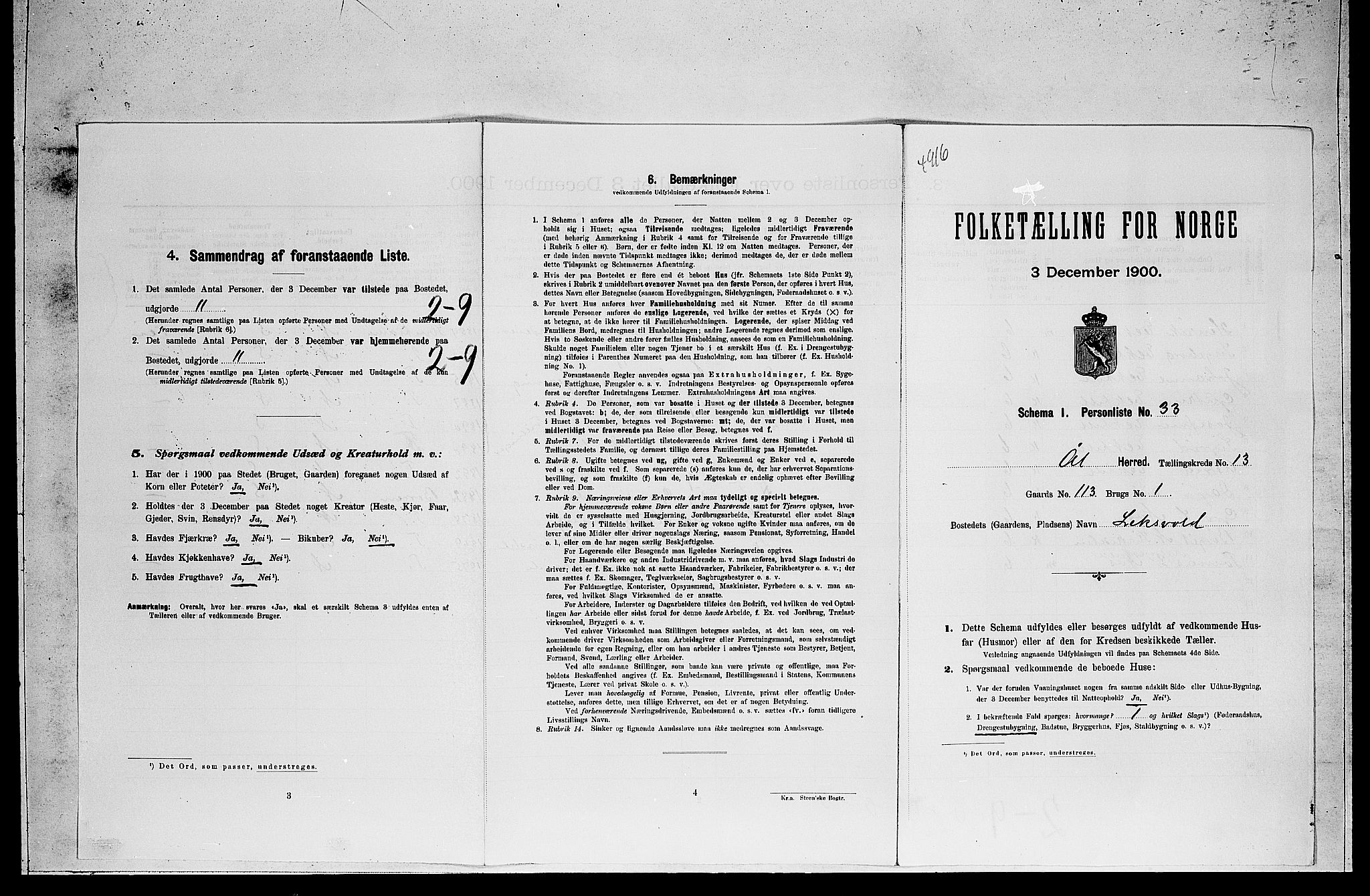 RA, Folketelling 1900 for 0619 Ål herred, 1900, s. 1064