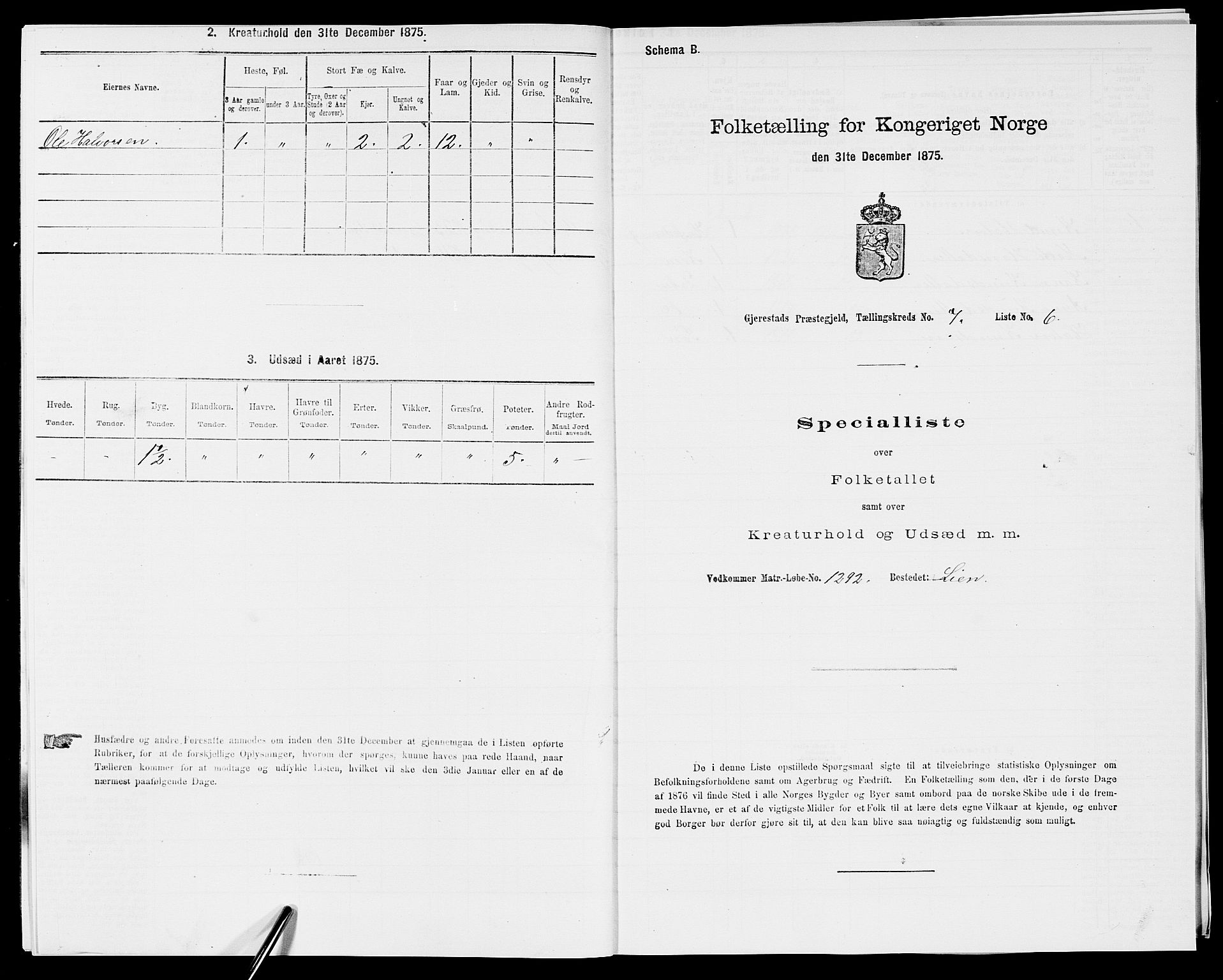 SAK, Folketelling 1875 for 0911P Gjerstad prestegjeld, 1875, s. 717