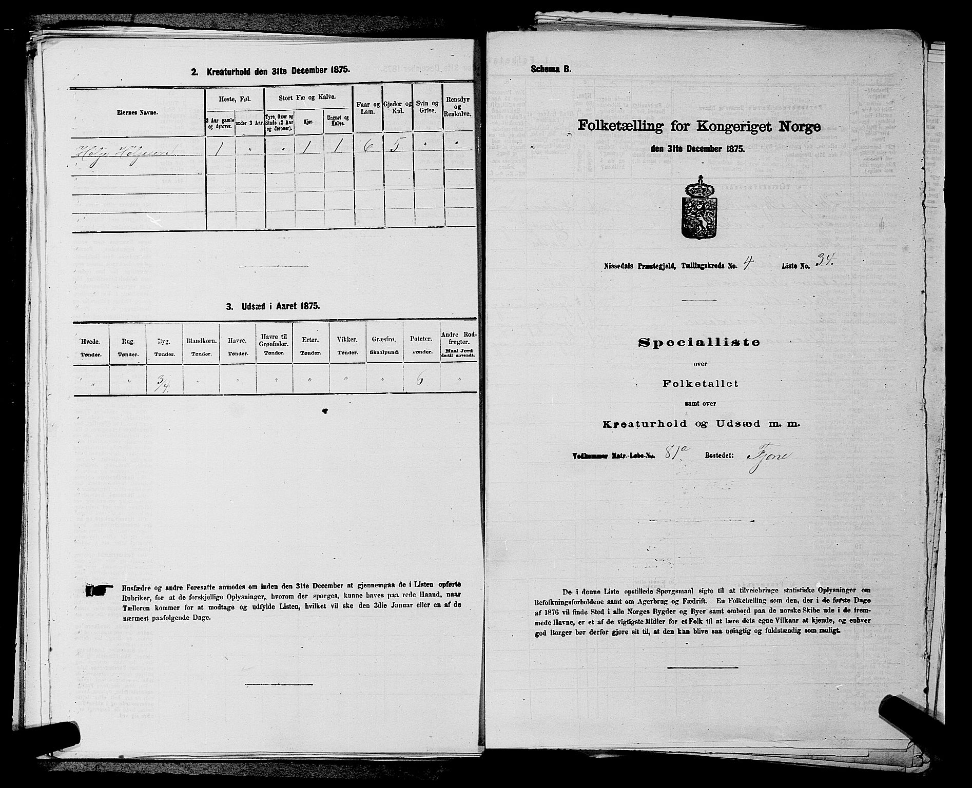 SAKO, Folketelling 1875 for 0830P Nissedal prestegjeld, 1875, s. 347